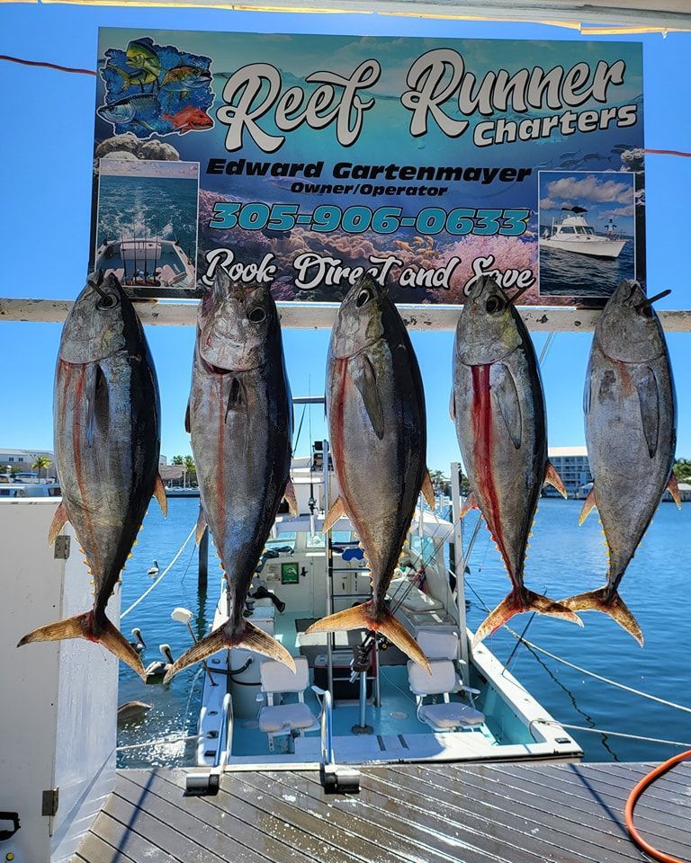 Five tuna hang from a rack in front of a Reef Runner Charters sign at a marina with a boat docked in the background.