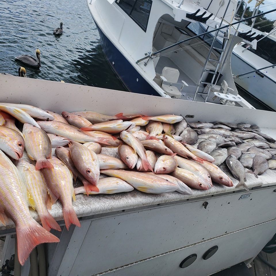 A freshly caught haul of red snappers and grey fish rests on a cleaning table next to a boat with birds in the water.