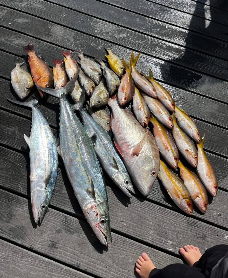 A variety of freshly caught saltwater fish arranged on a dark wooden dock, with a person's feet visible at the bottom.