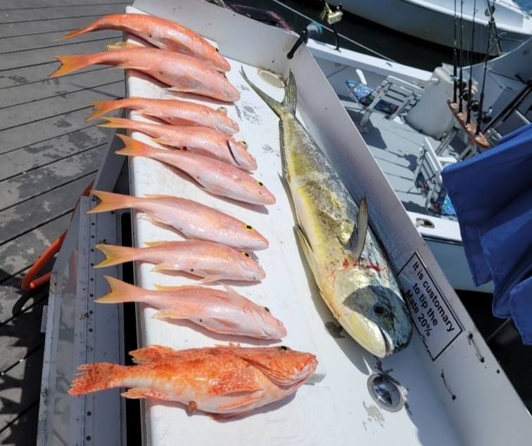 A row of several smaller pink fish beside a large, yellow-green mahi-mahi on a white boat cleaning table.