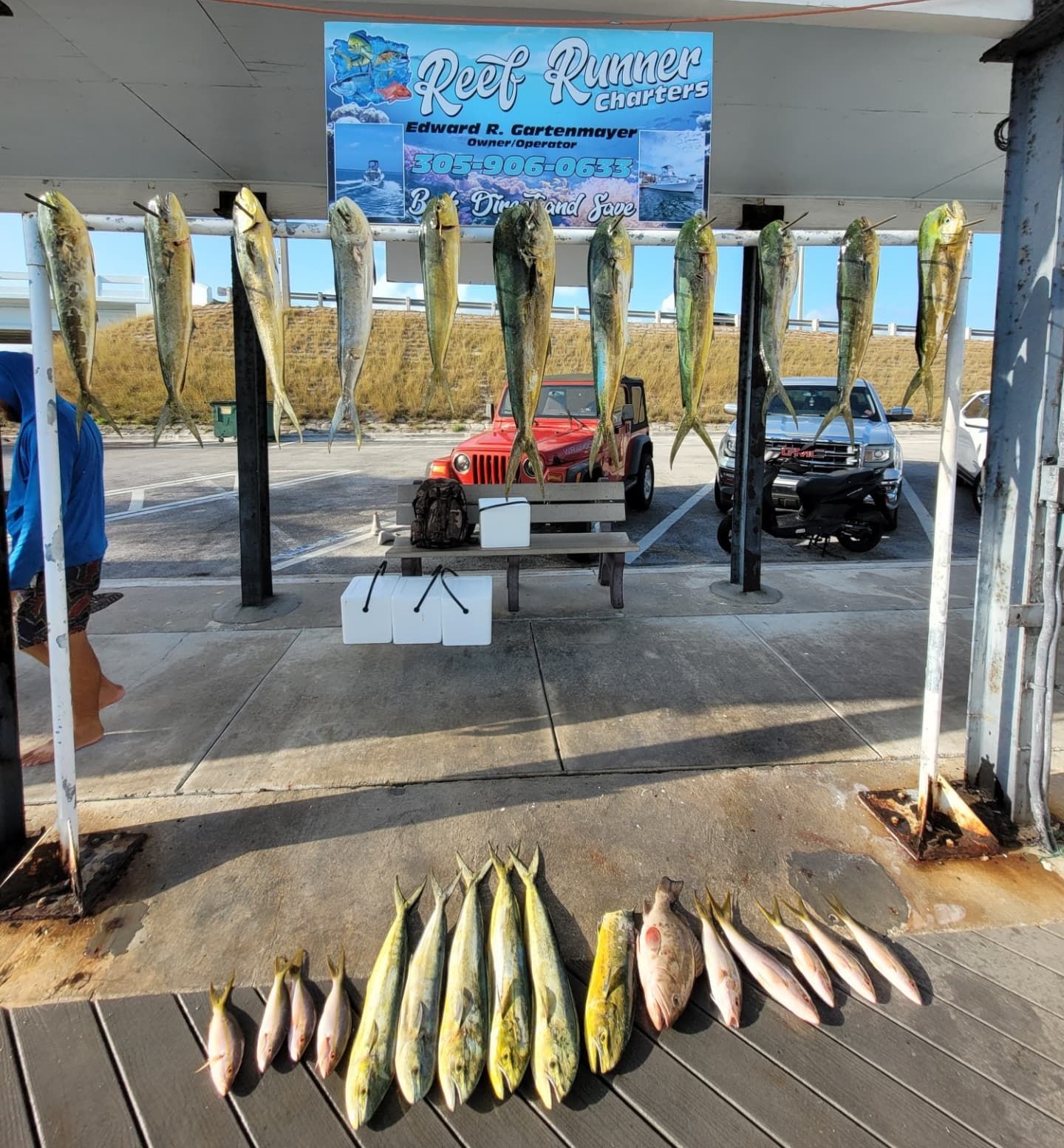A display of fresh fish hanging from a rack and arranged on a dock beneath a 