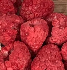 Freeze-Dried Raspberries - Whole