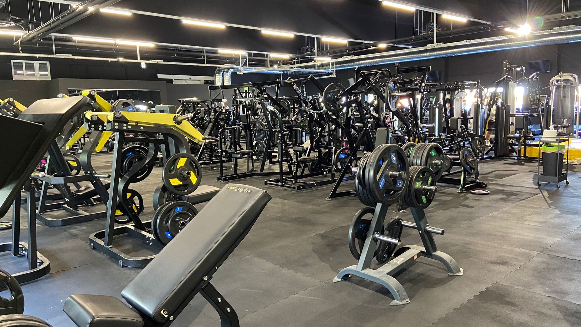 247GYM Traiskirchen Bildergalerie