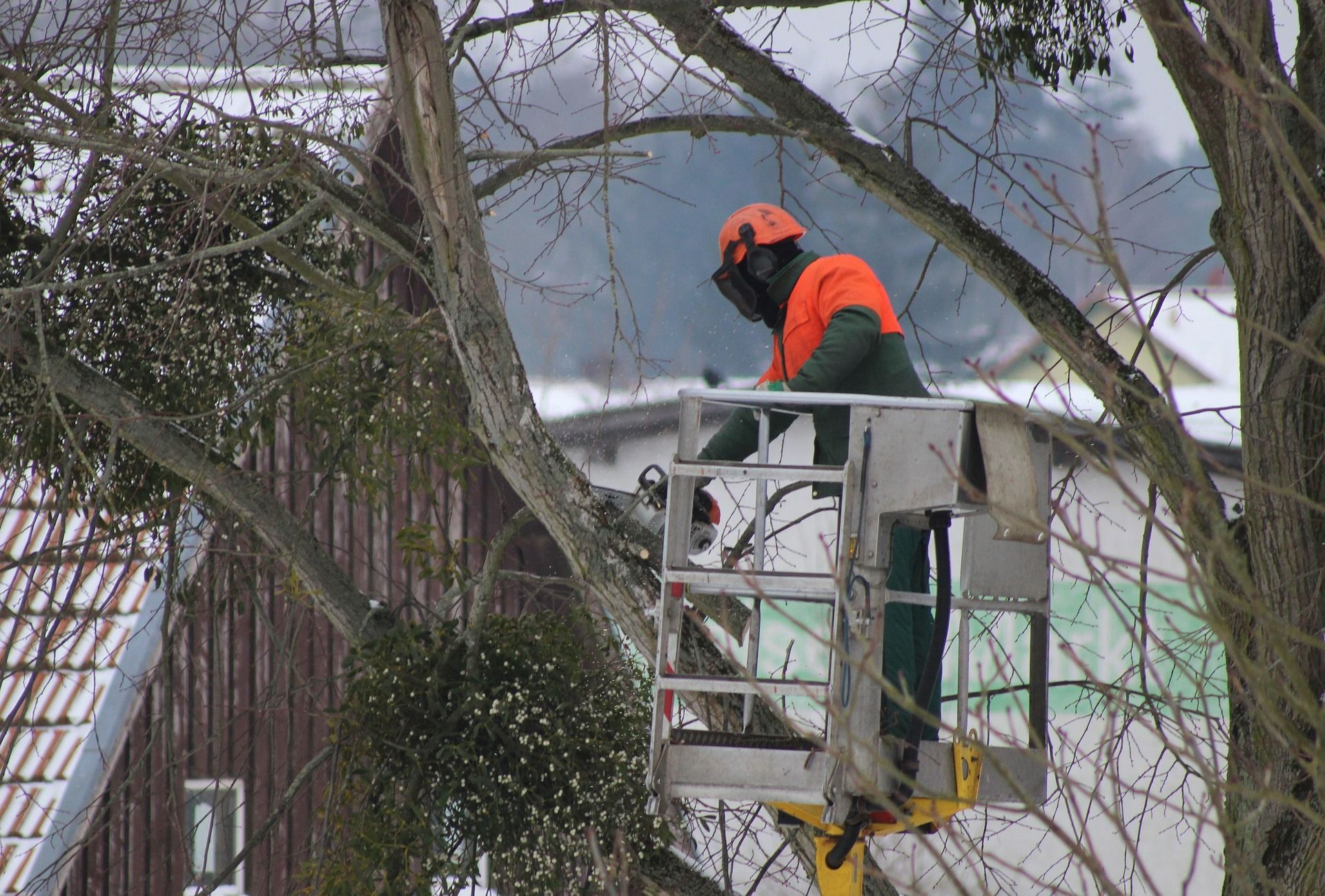 Worker in orange helmet operates a lift while trimming tree branches in winter