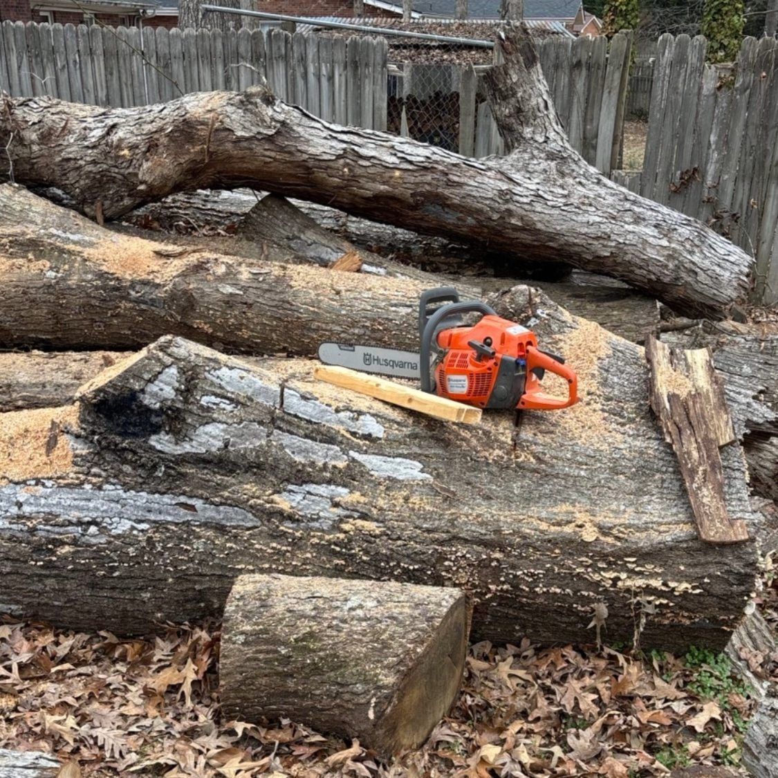 Orange chainsaw on stacked logs in a wooded yard, with cut wood and fallen leaves nearby