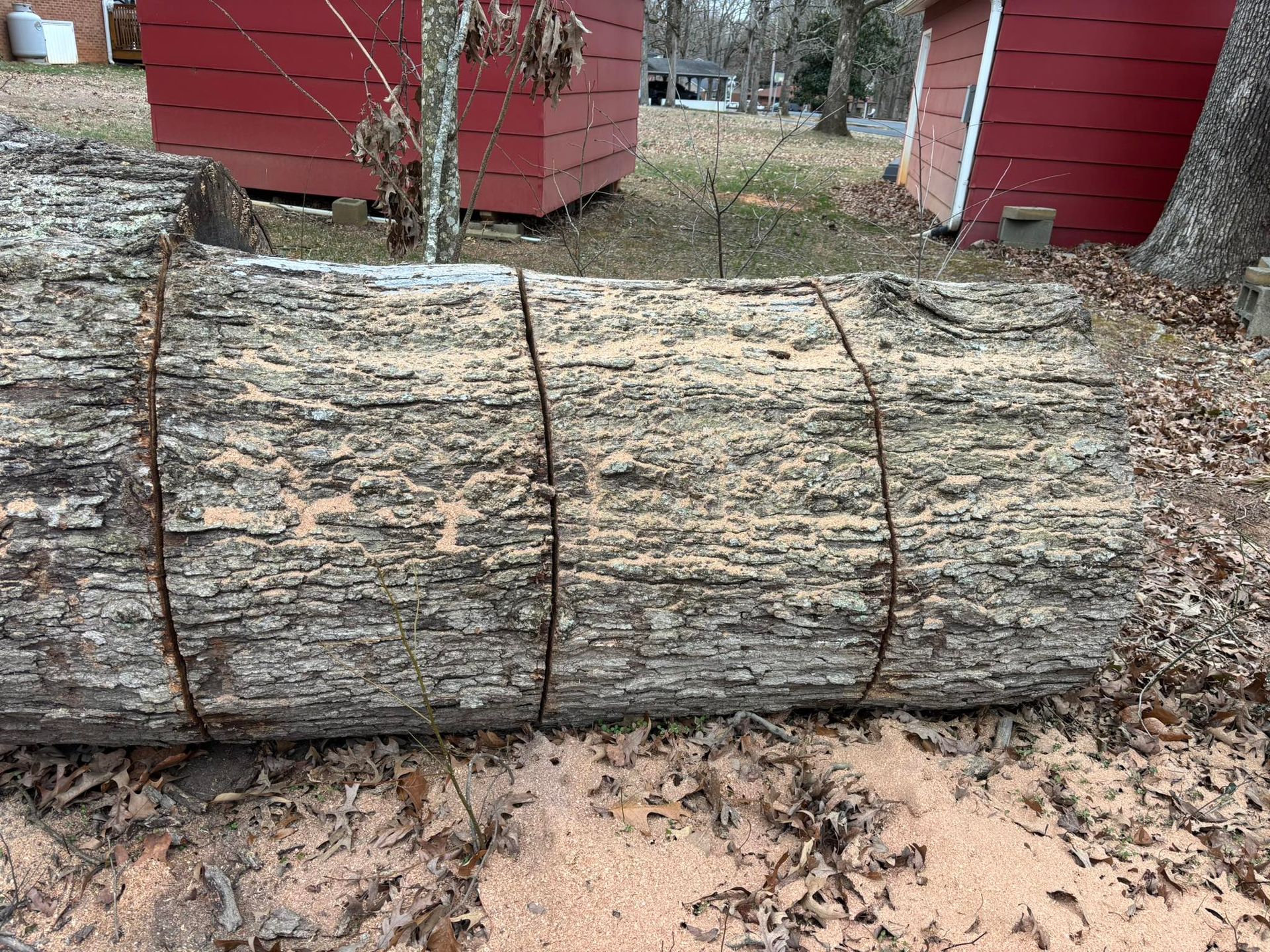 A large cut log lies on the ground in front of red buildings.