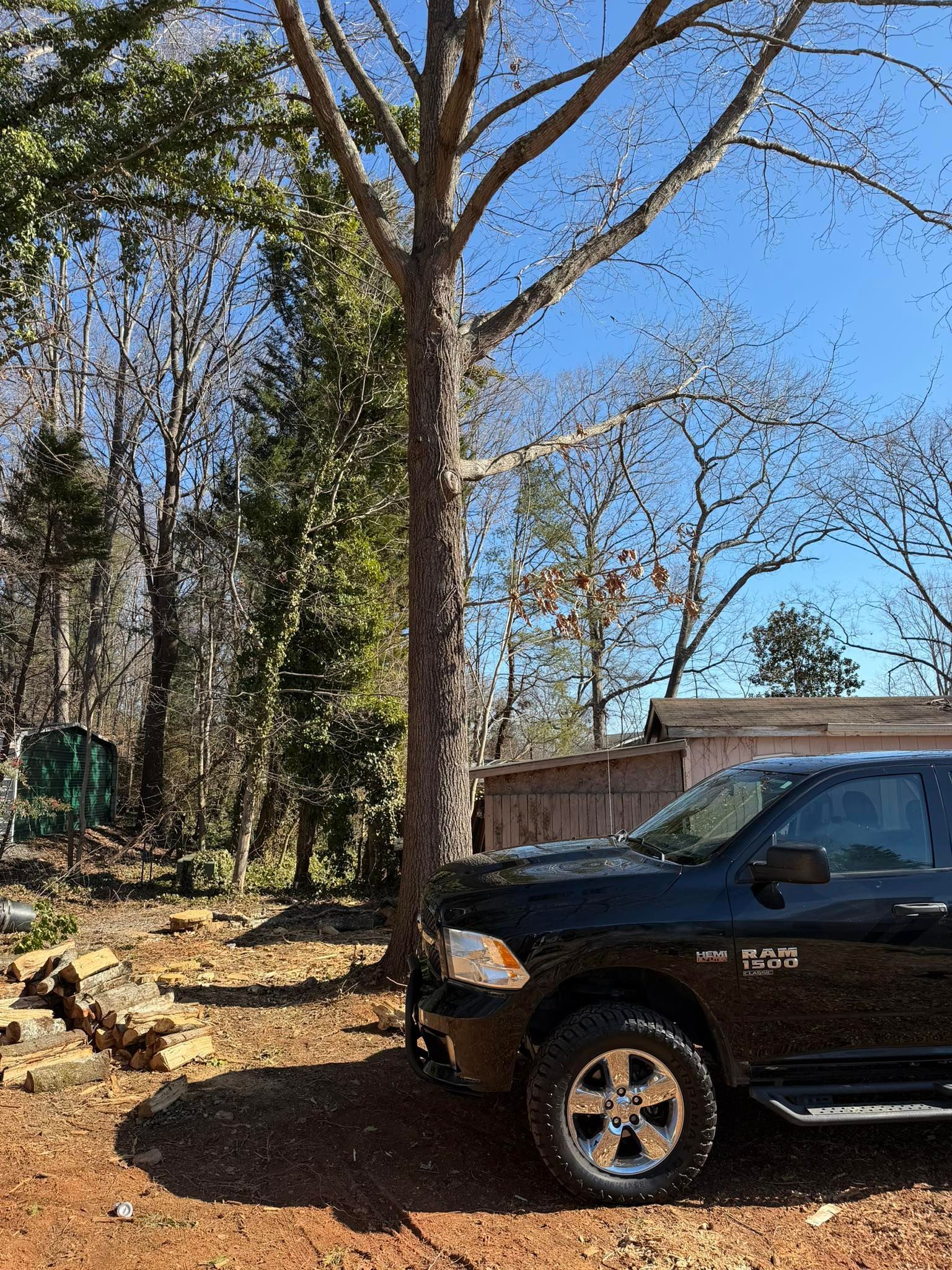 Black SUV parked beside a brick house and wooded yard under a clear blue sky