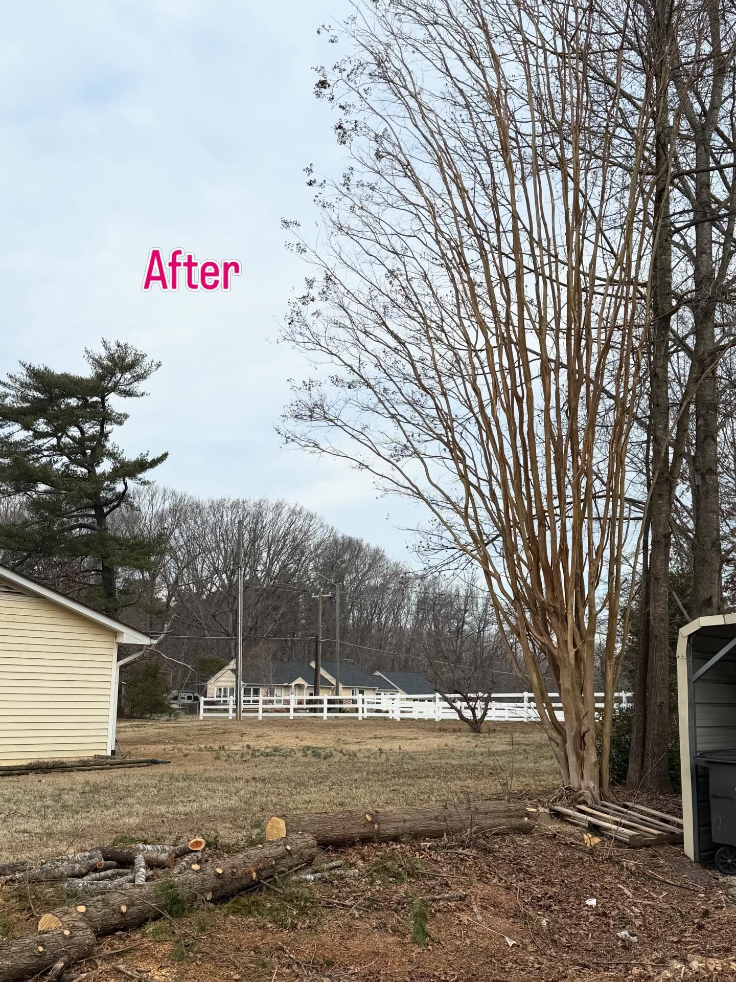 Backyard with bare trees and a small house, labeled “After” in pink text.