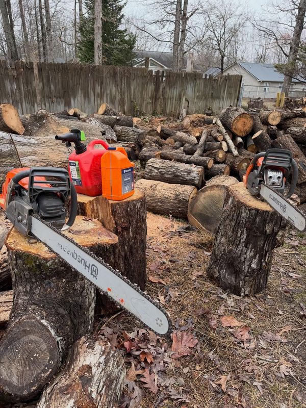 Chainsaws on log pile in a wooded yard with cut tree trunks and wood chips