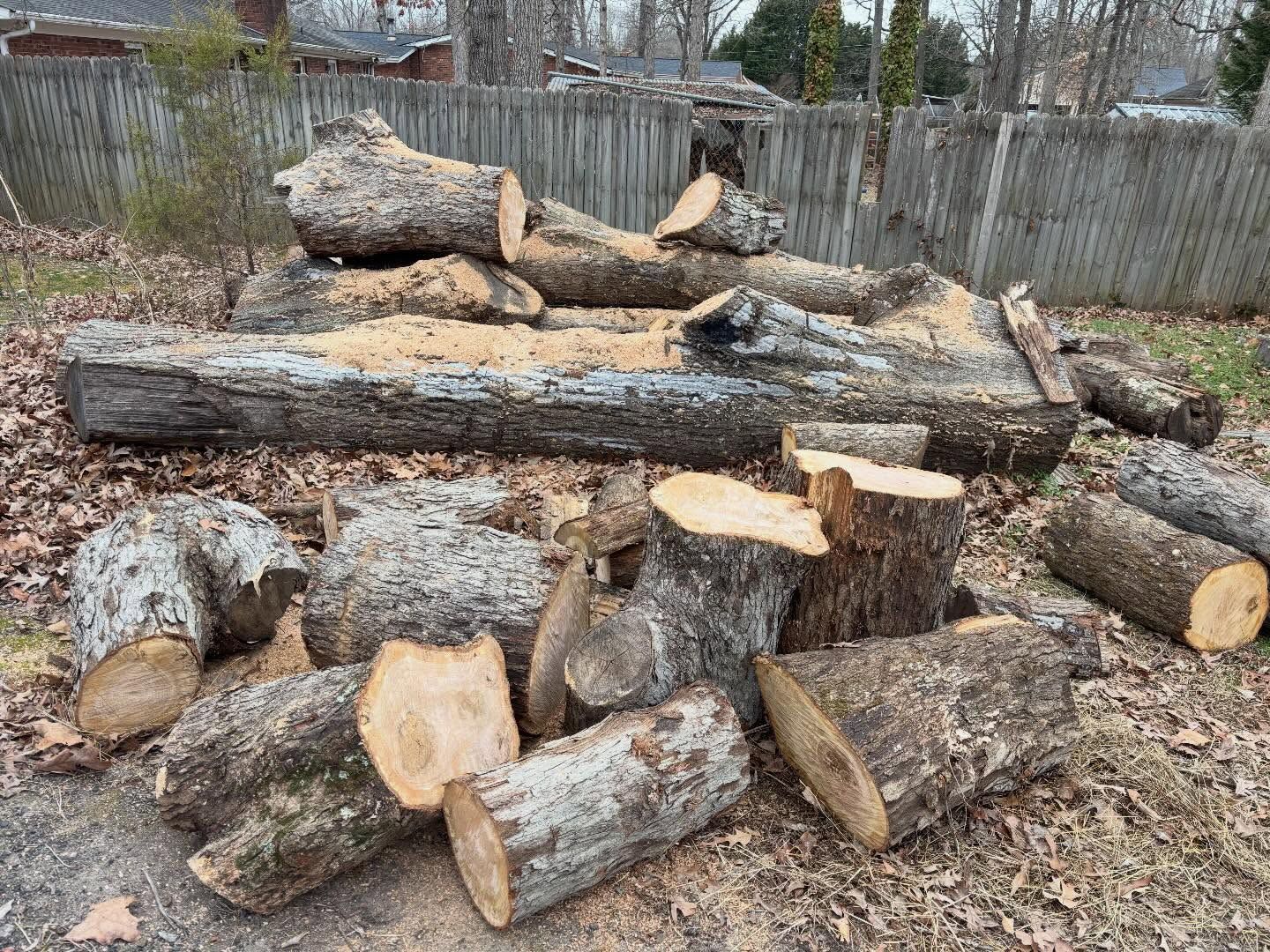 Stacked cut logs and firewood piled in a yard beside a weathered fence.