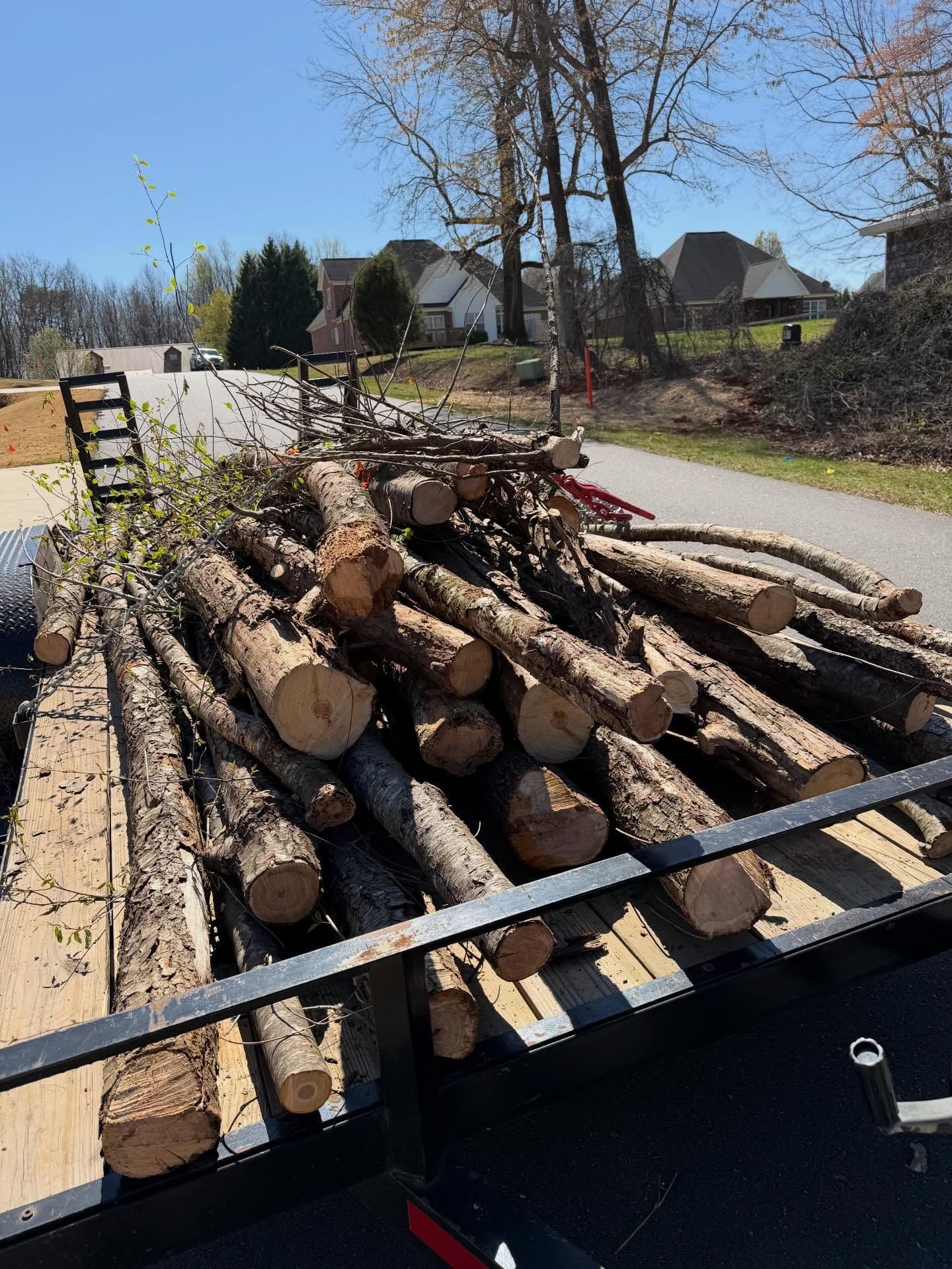 Truck trailer loaded with cut logs beside a road on a sunny day