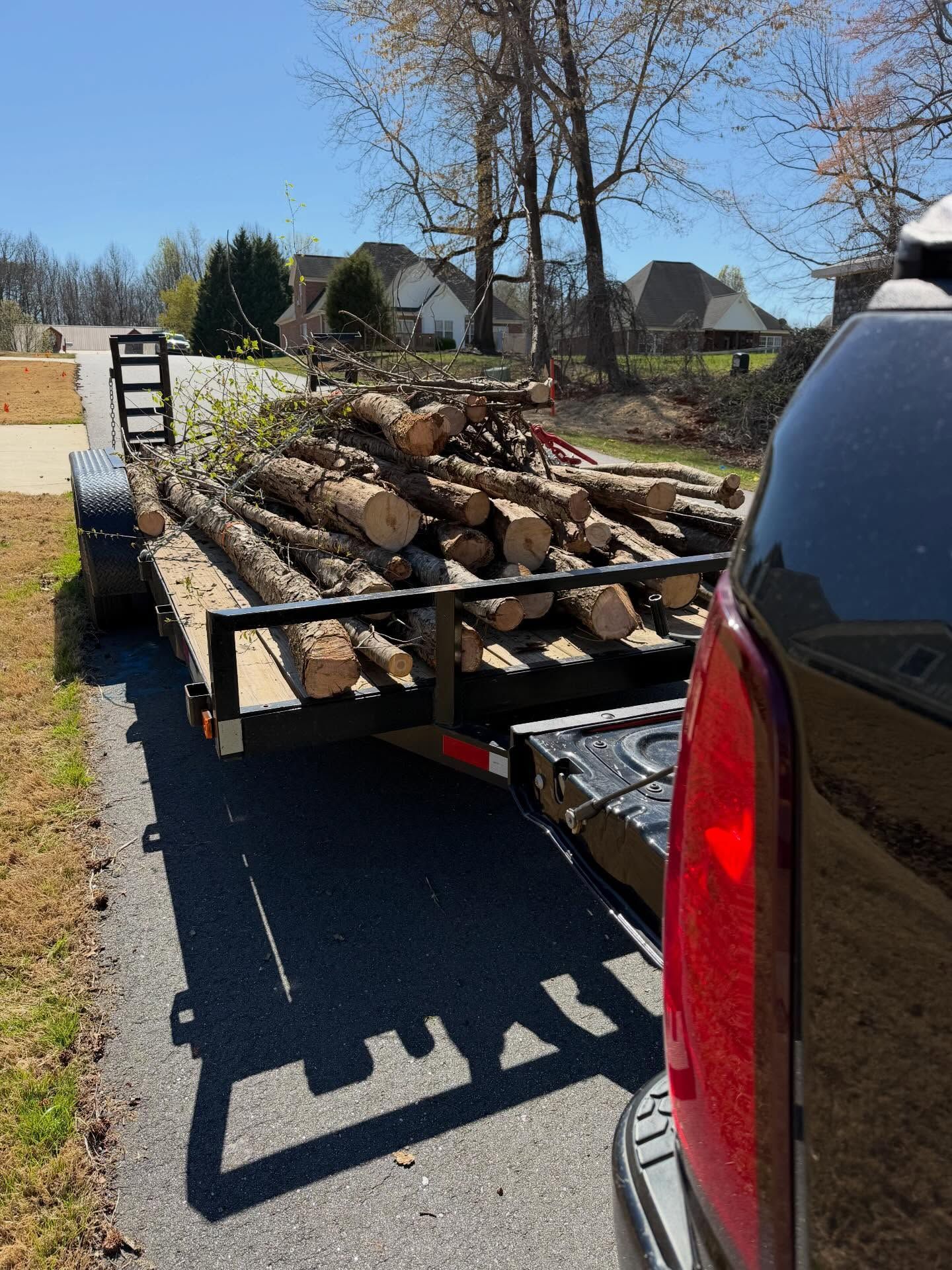 Flatbed trailer loaded with cut logs, parked beside a road on a sunny day.