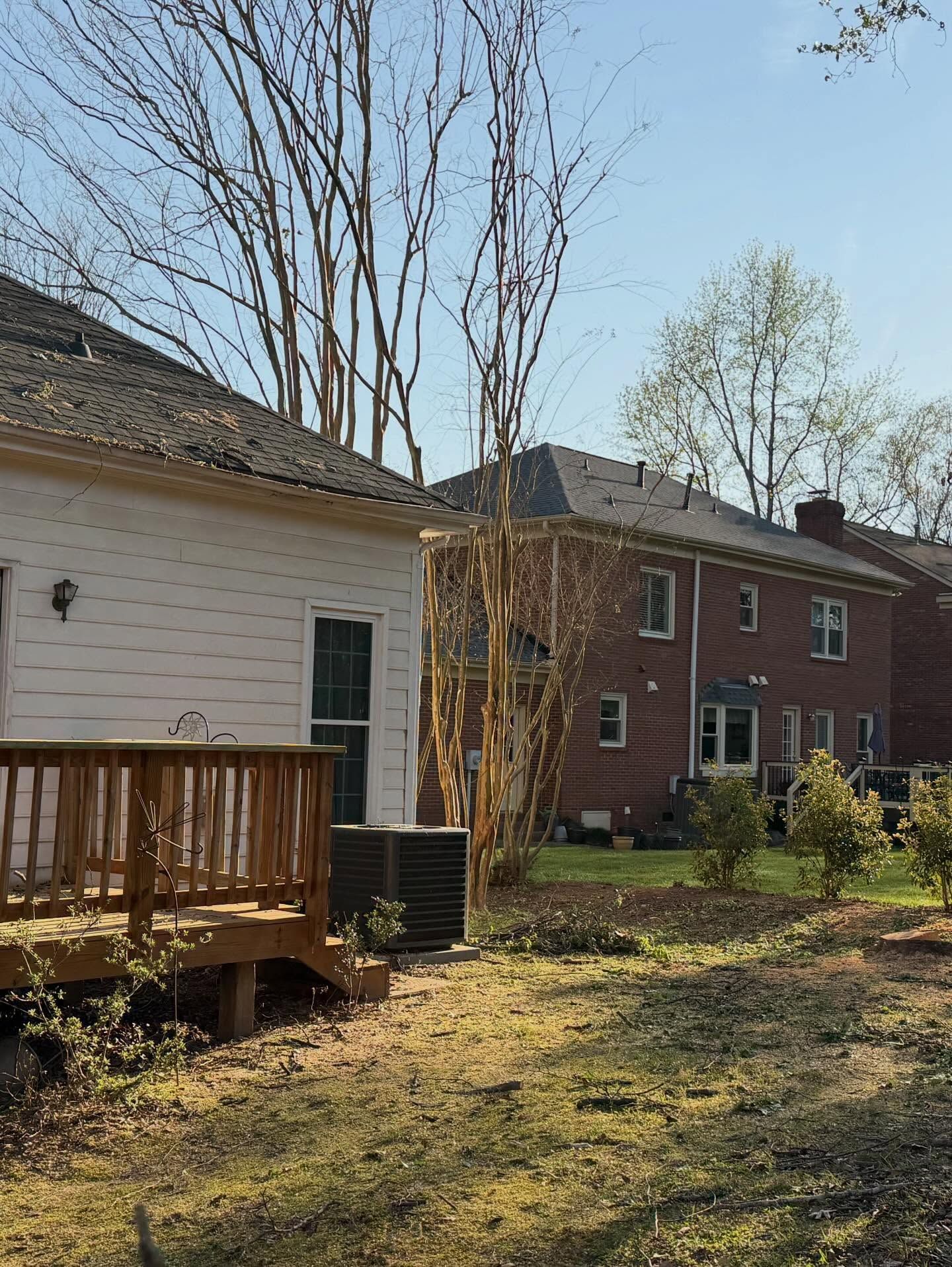 Backyard with two homes, leafless trees, and a wooden deck in bright daylight