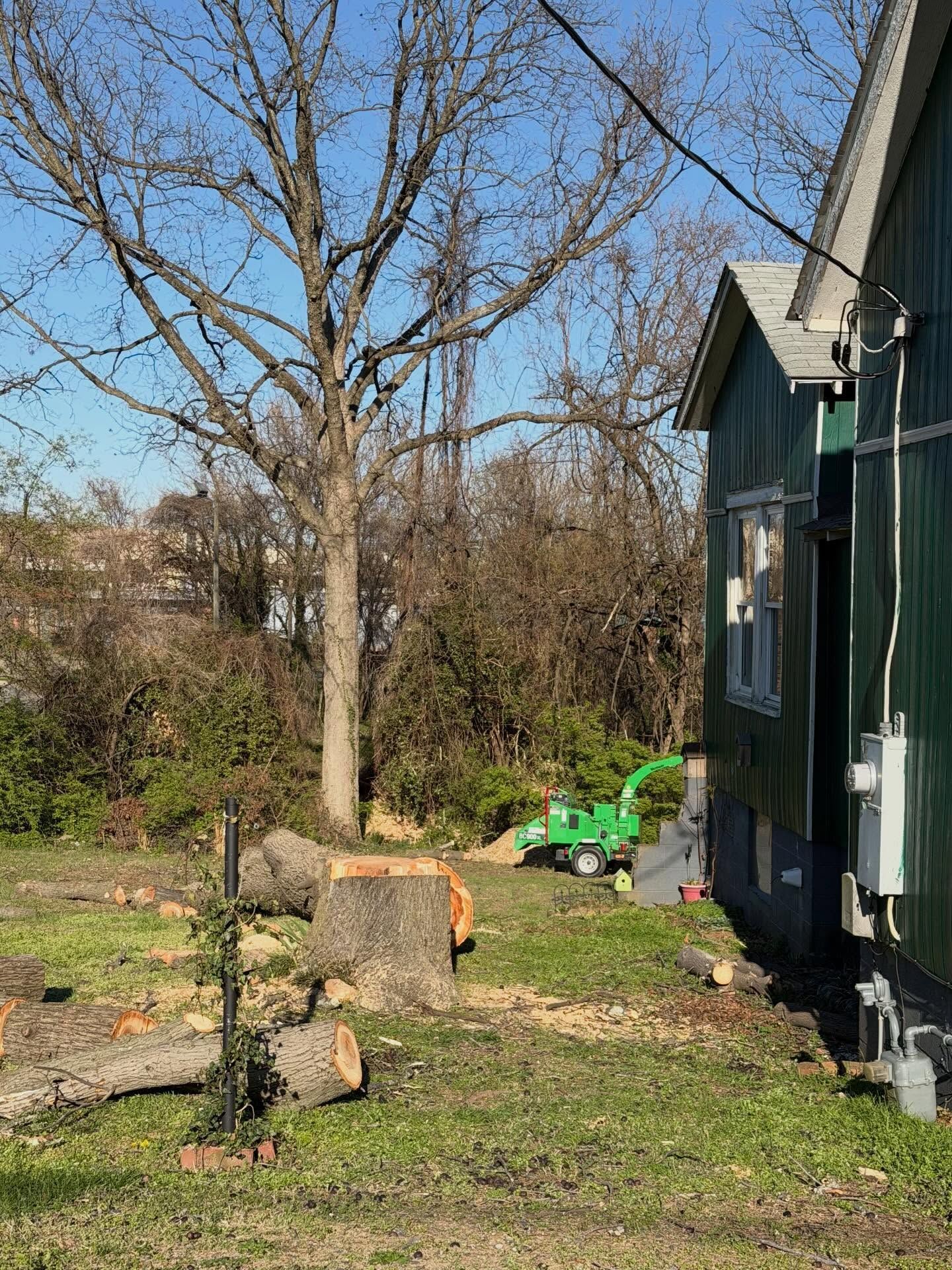 Backyard with a tree stump, green lawn mower, and dark house siding under leafless trees