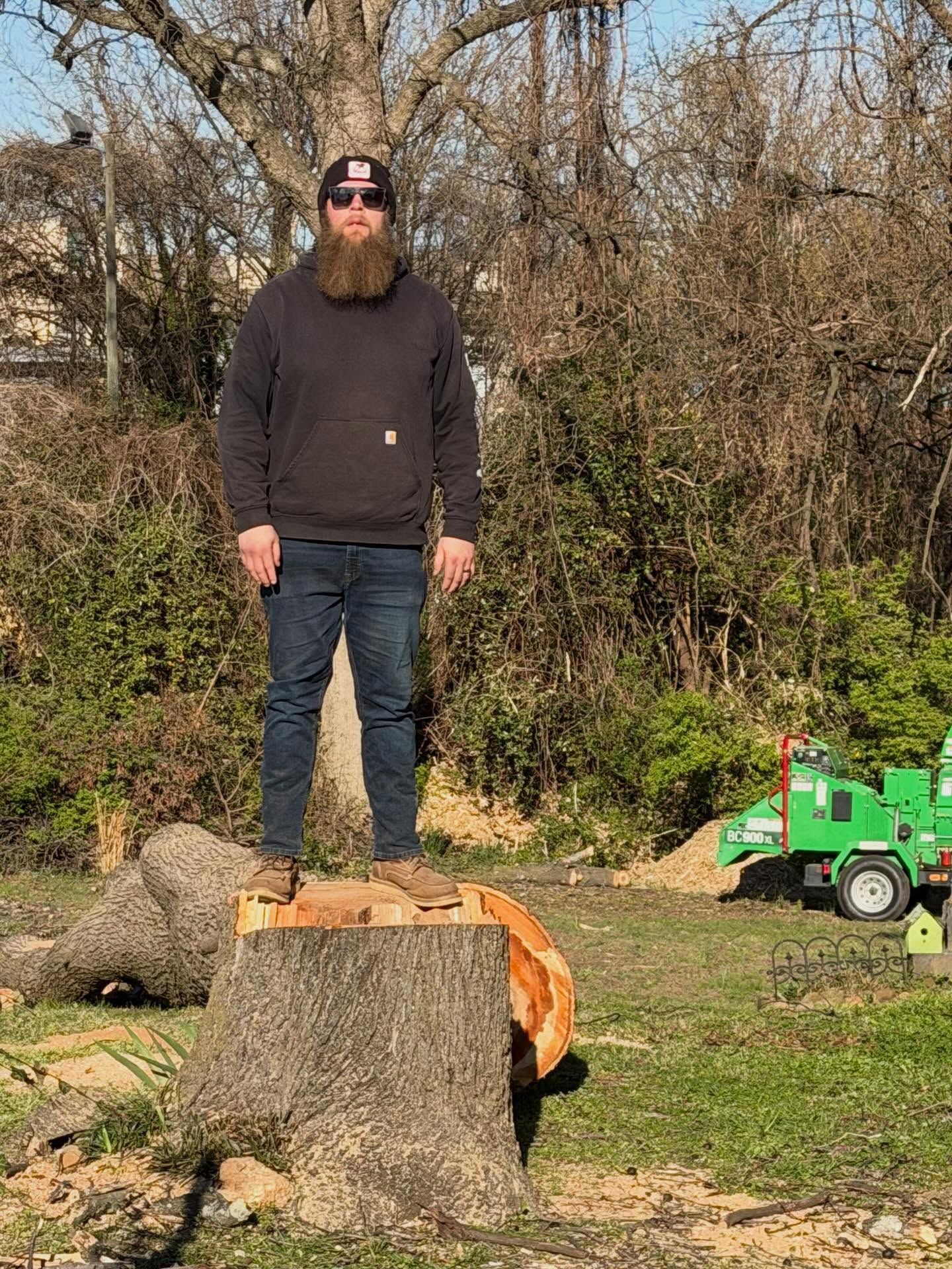Man standing on a tree stump in a yard, wearing a black hoodie and sunglasses, with a green toy truck nearby.