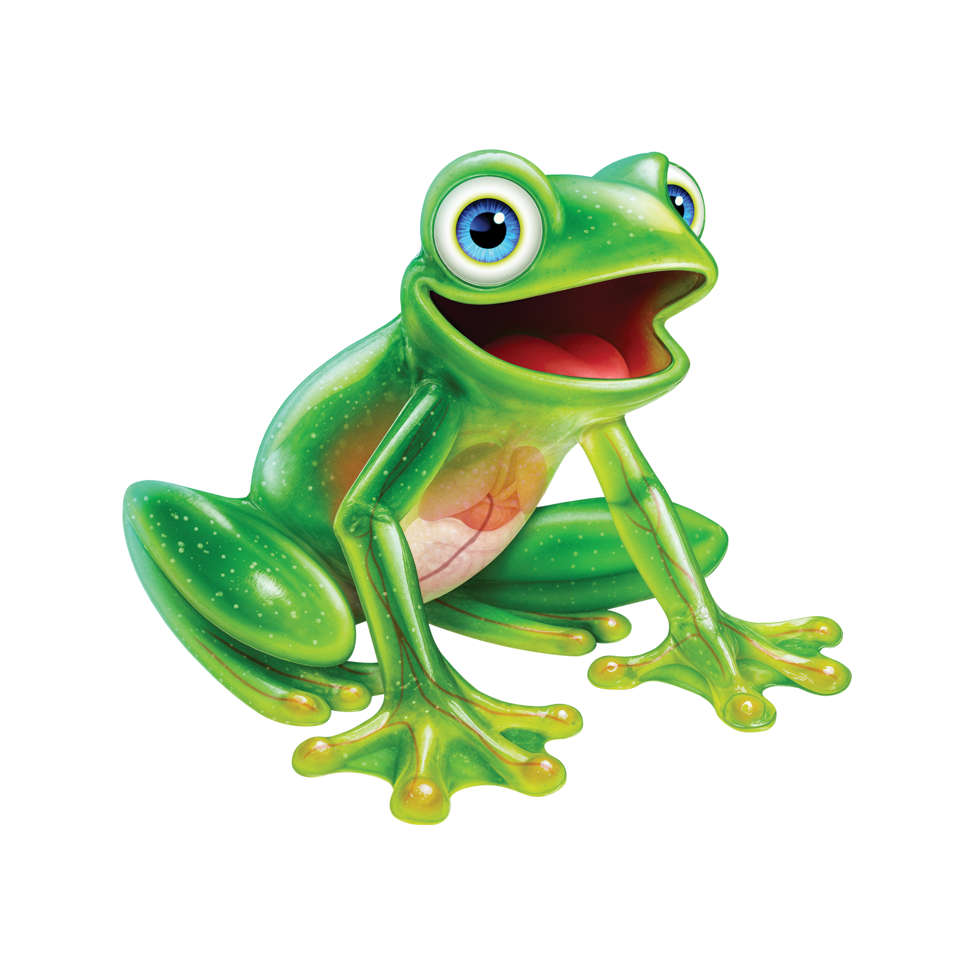 Cartoon picture of a Glass Frog. 