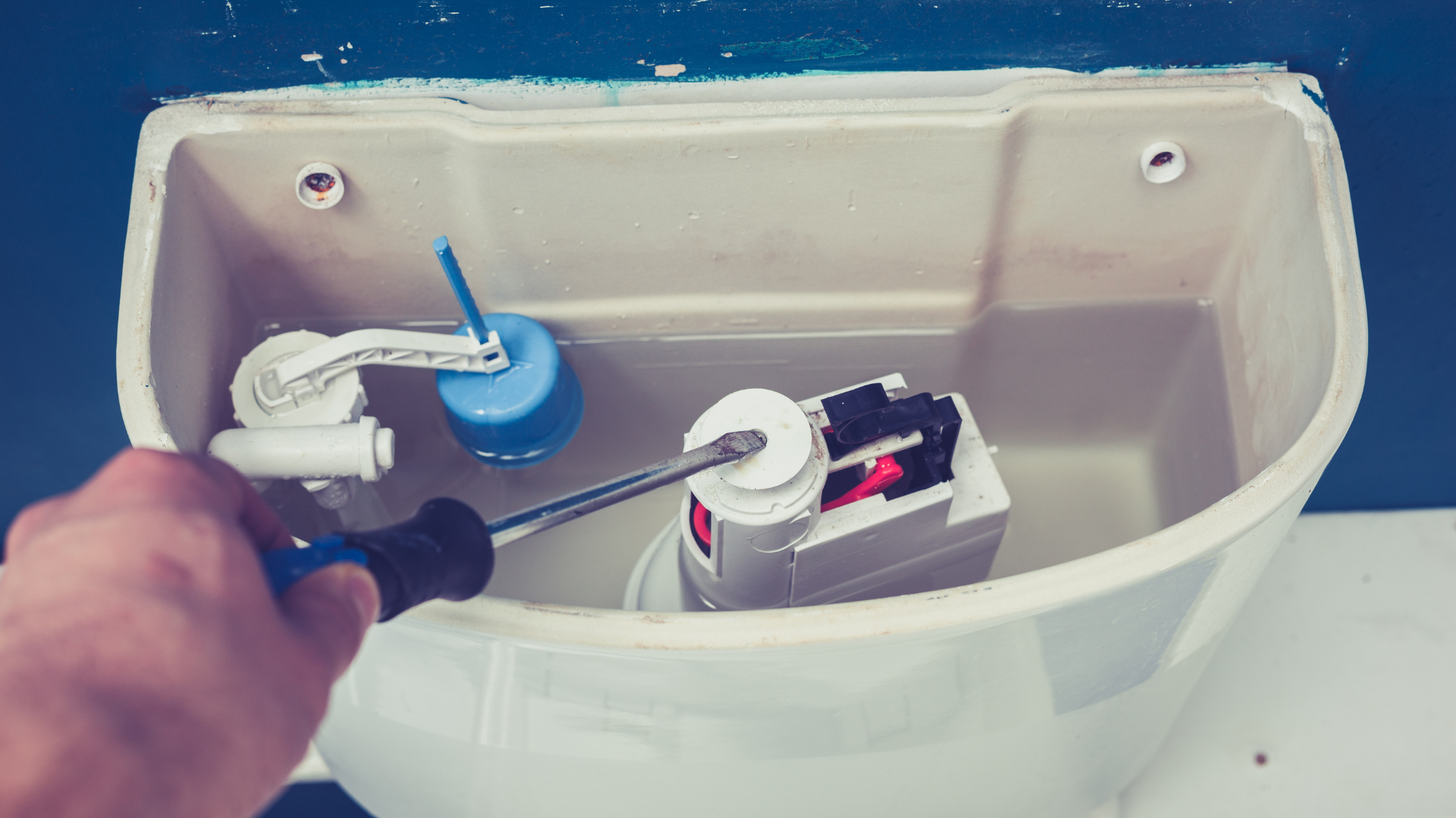 A person is fixing a toilet with a screwdriver.