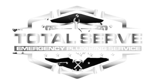 Total Serve Logo