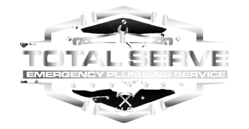 Total Serve Logo