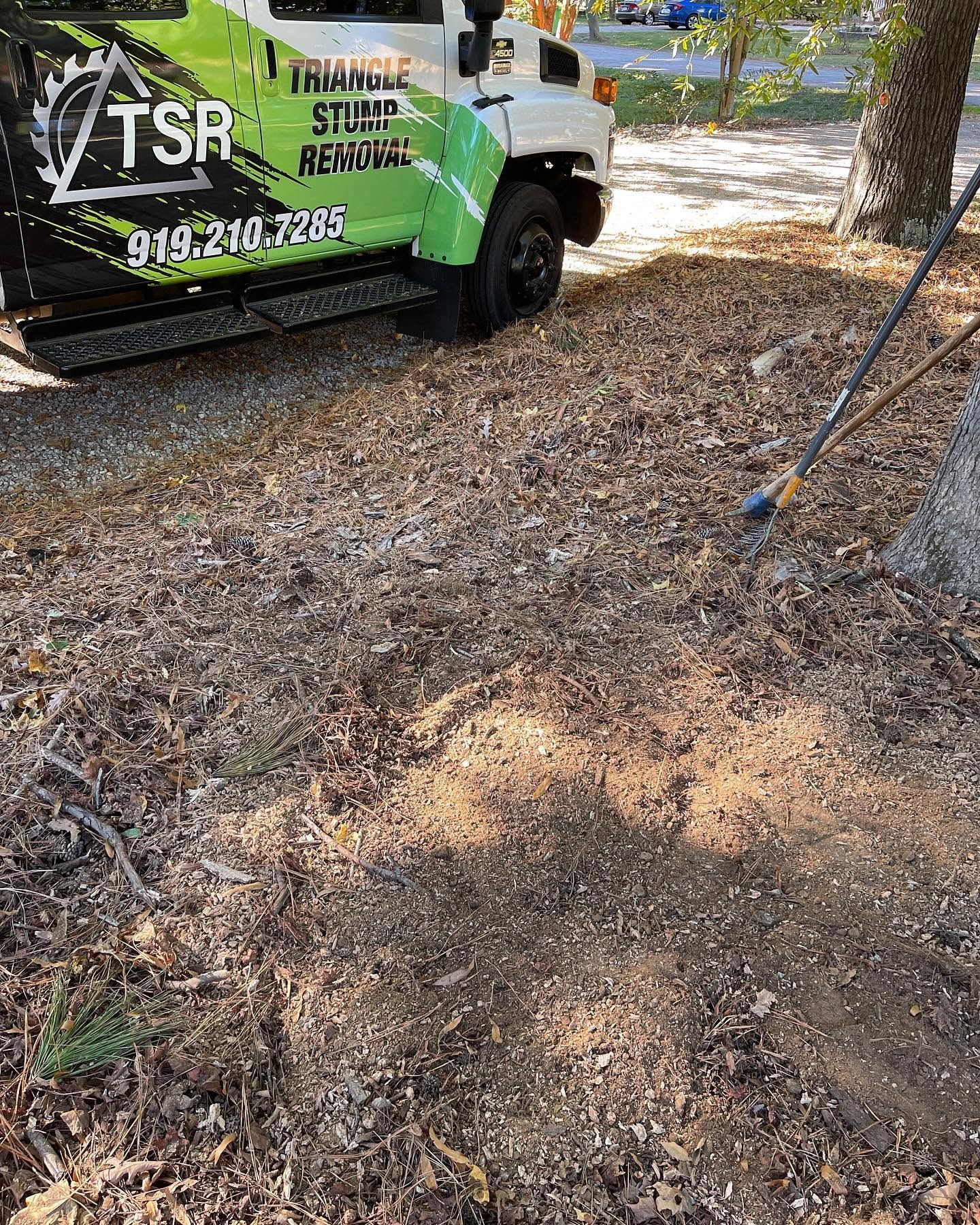 Green TSB truck beside a tree on a leaf-covered ground with a rake leaning nearby.