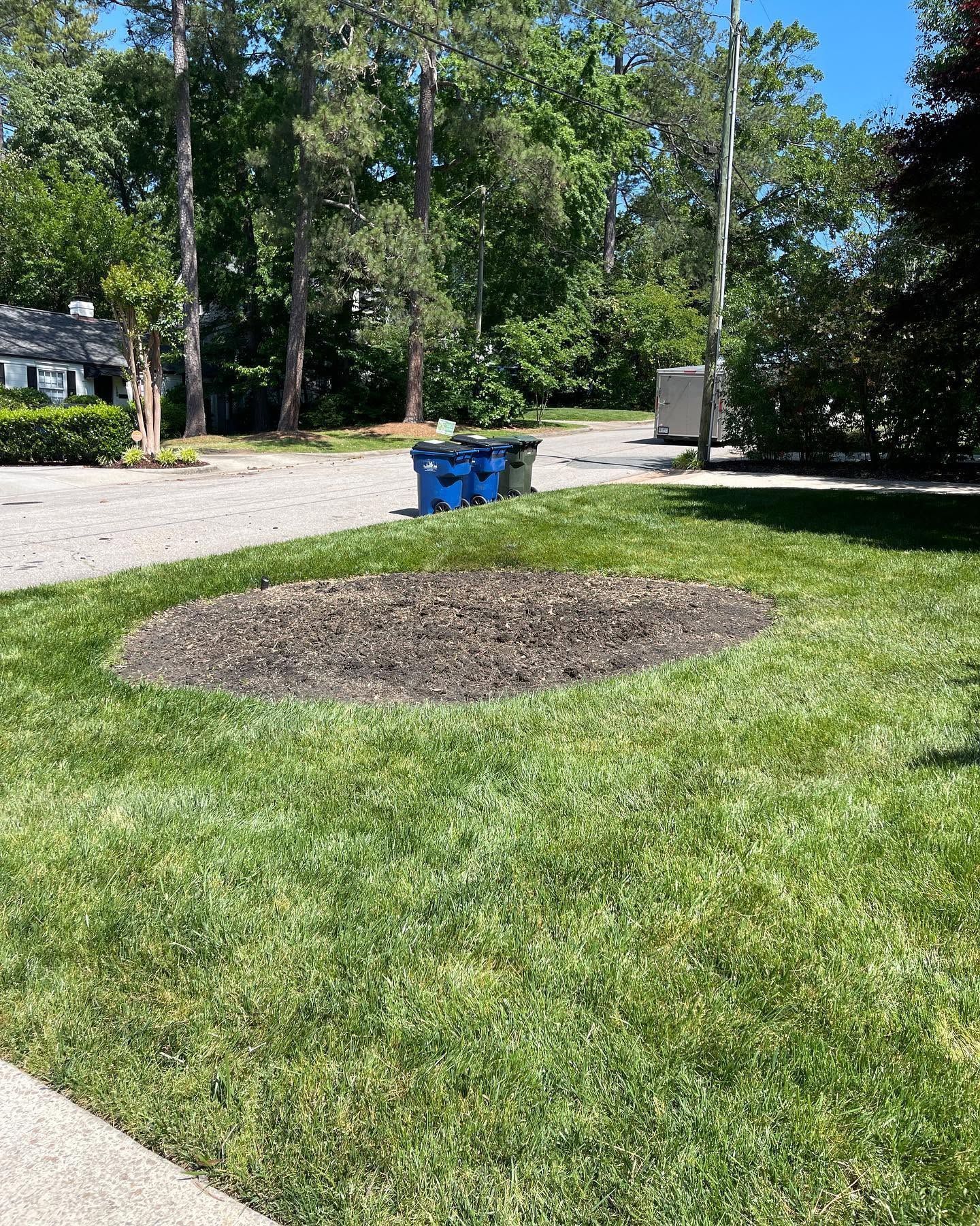 Grassy yard with a bare circular patch and blue recycling bin near a tree-lined driveway