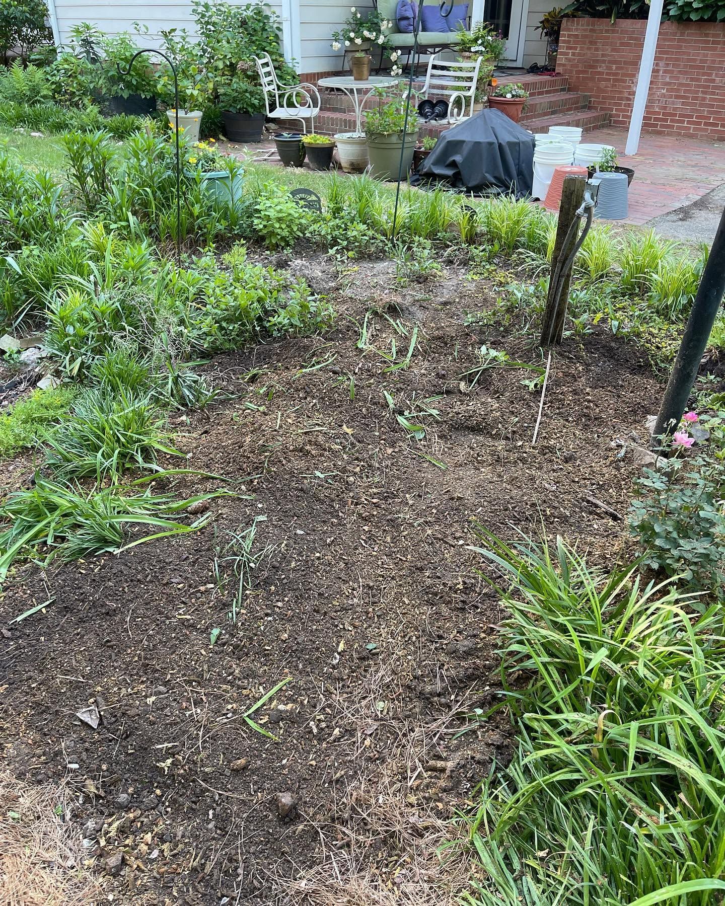 Rain-soaked garden bed with sparse plants and mulch, beside a patio and brick steps