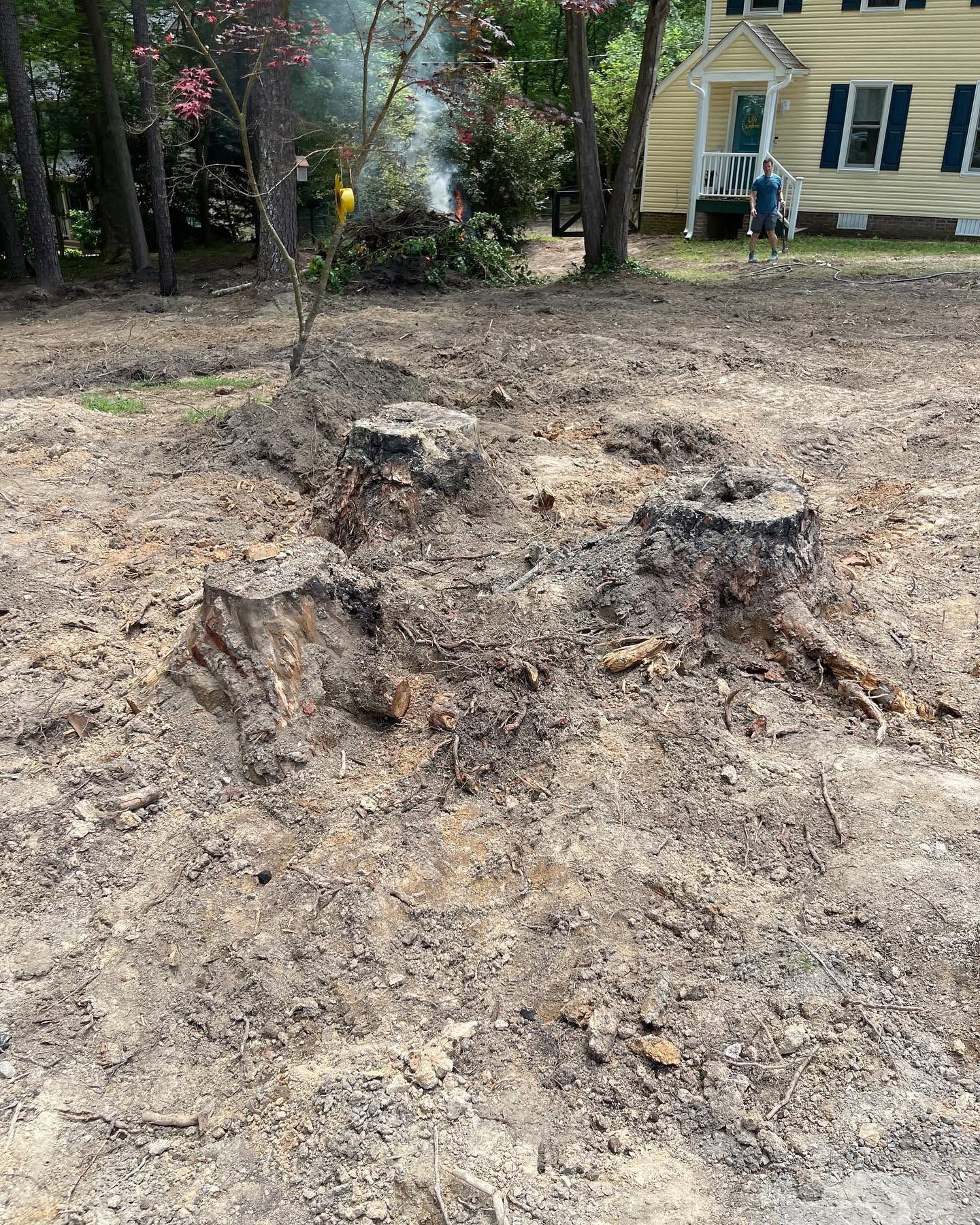 Tree stump and exposed roots in a dirt yard beside a yellow house with blue shutters.