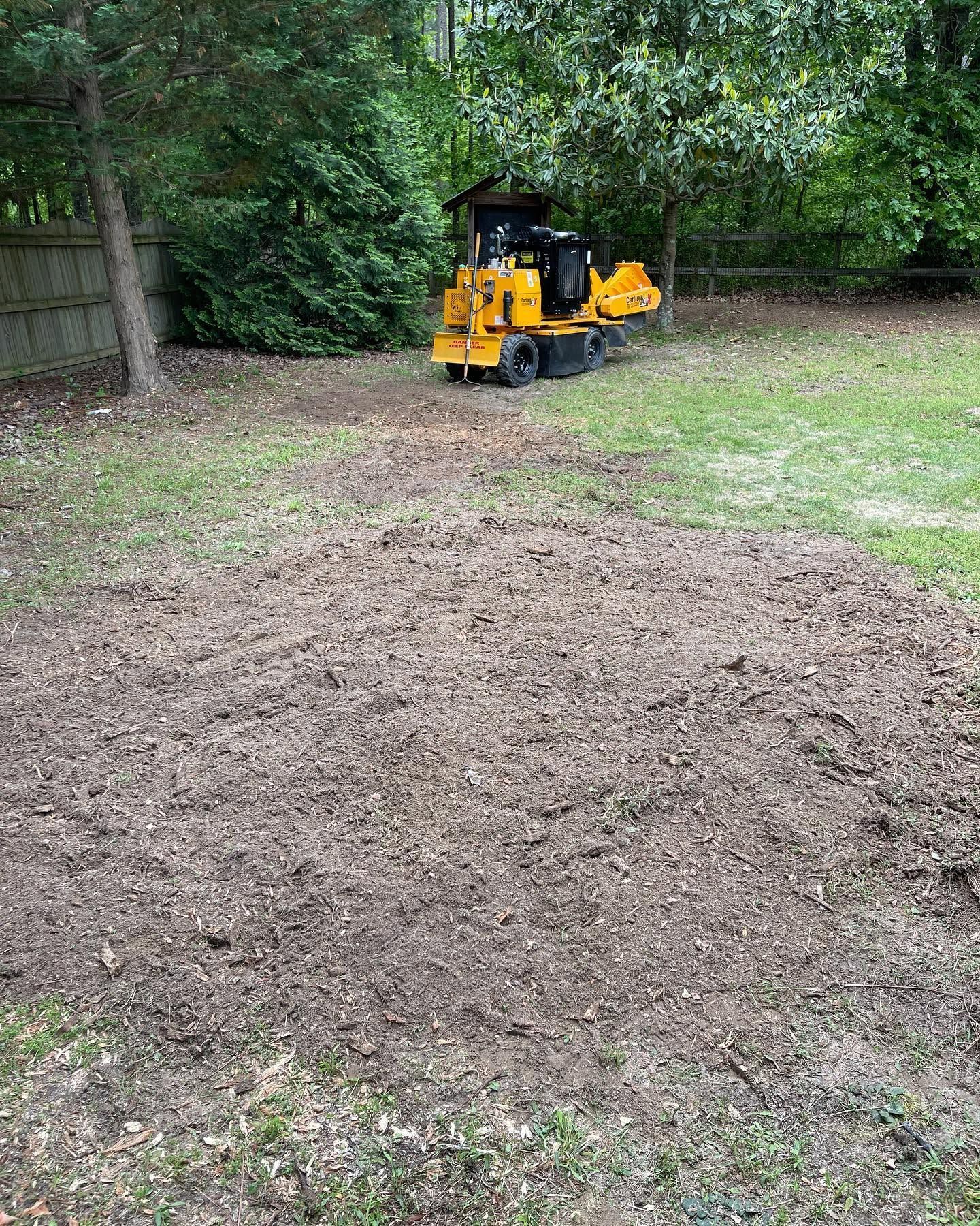 Yellow skid steer clearing dirt in a wooded yard with a large bare patch of ground in the foreground