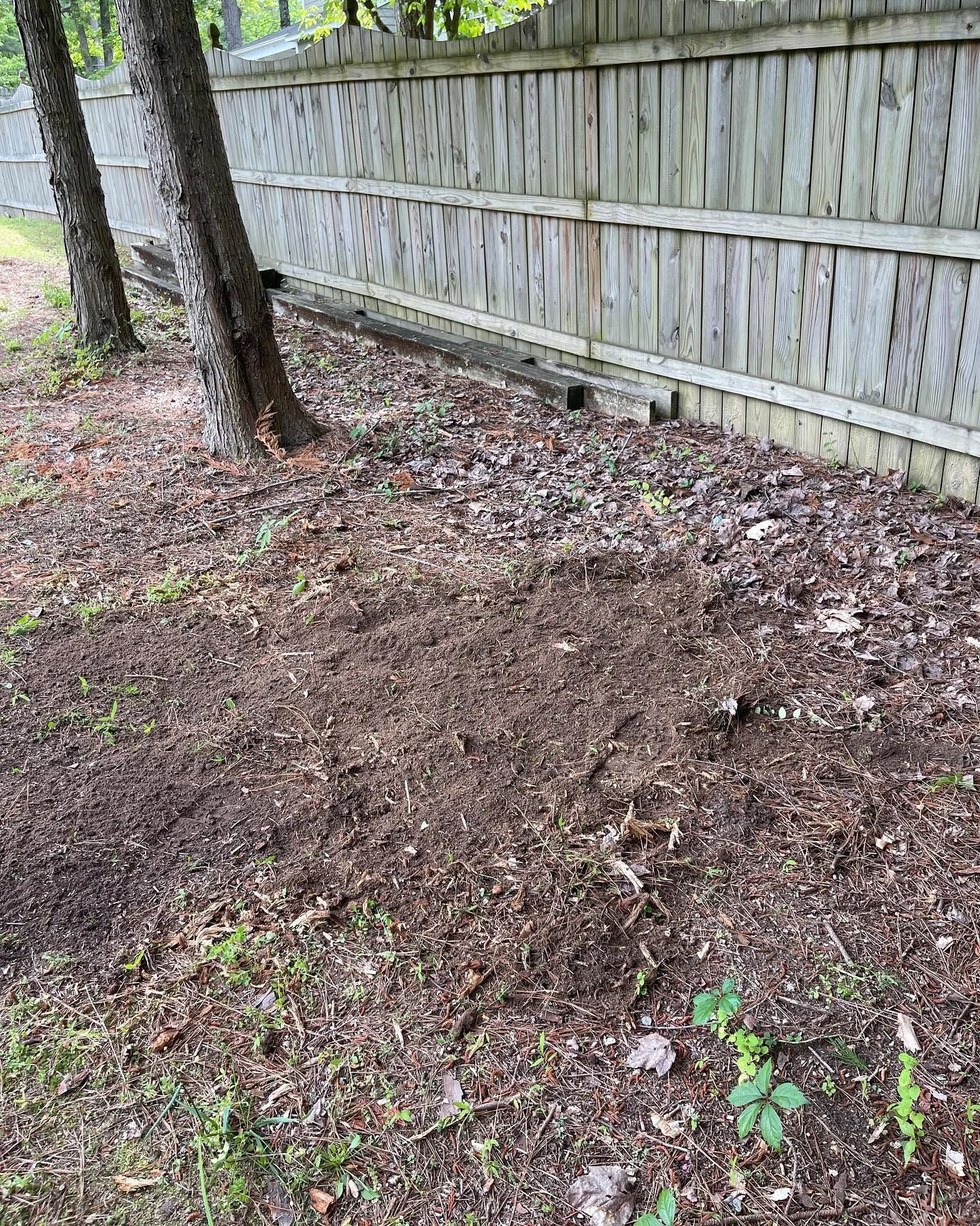 Bare dirt patch beside a wooden fence and trees in a wooded yard.