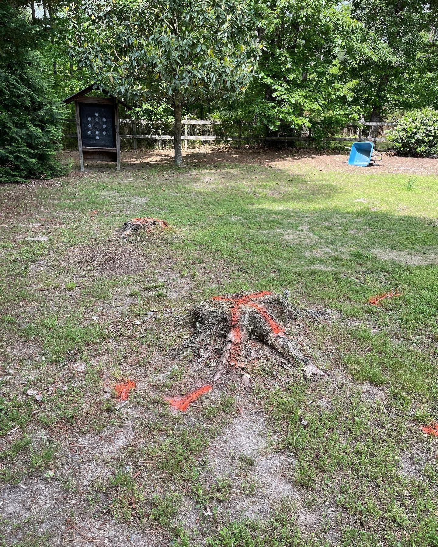 Backyard with two small fire pits, orange markers, a bench, and a wooded fence line.