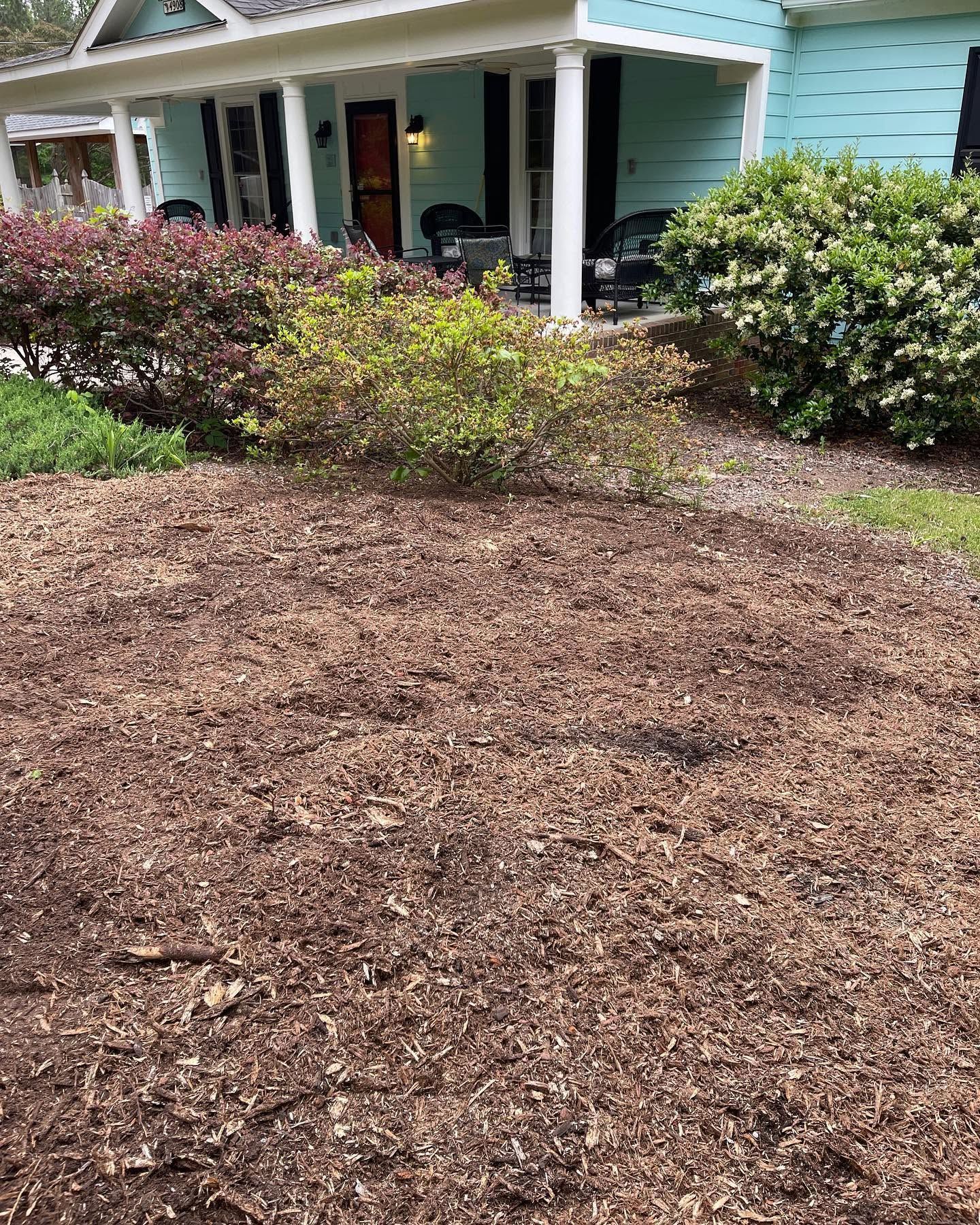 Mulched front yard with shrubs in front of a light blue house and porch