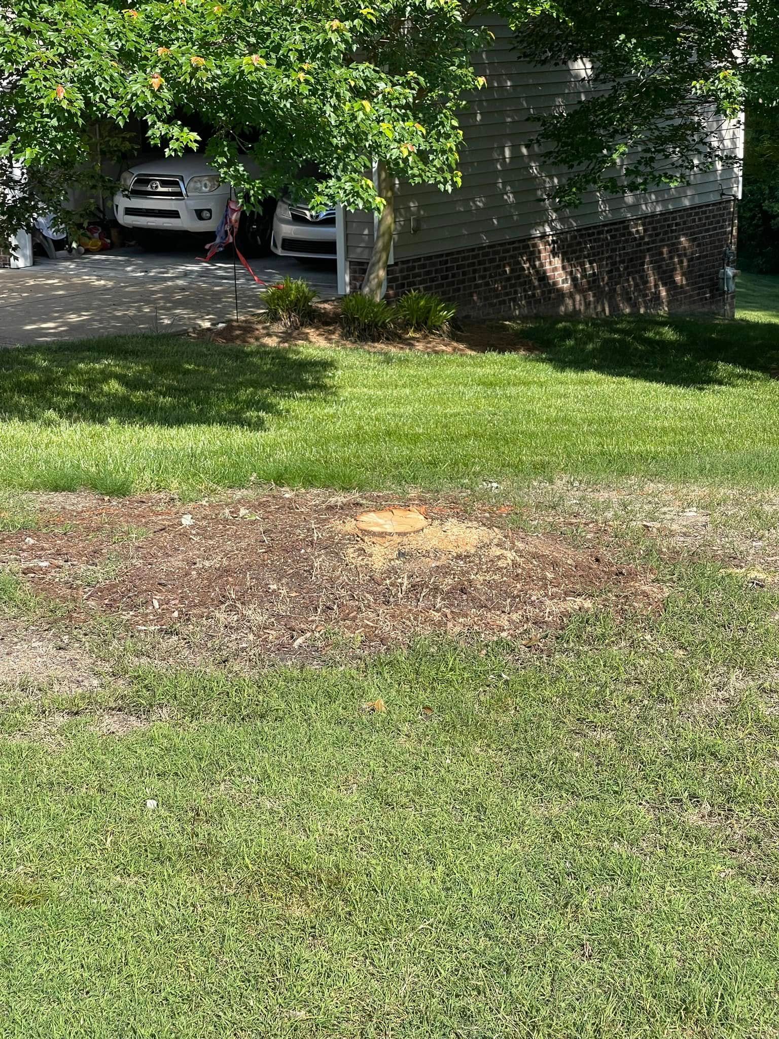 Patchy brown spot in a green lawn near a driveway and parked car under trees