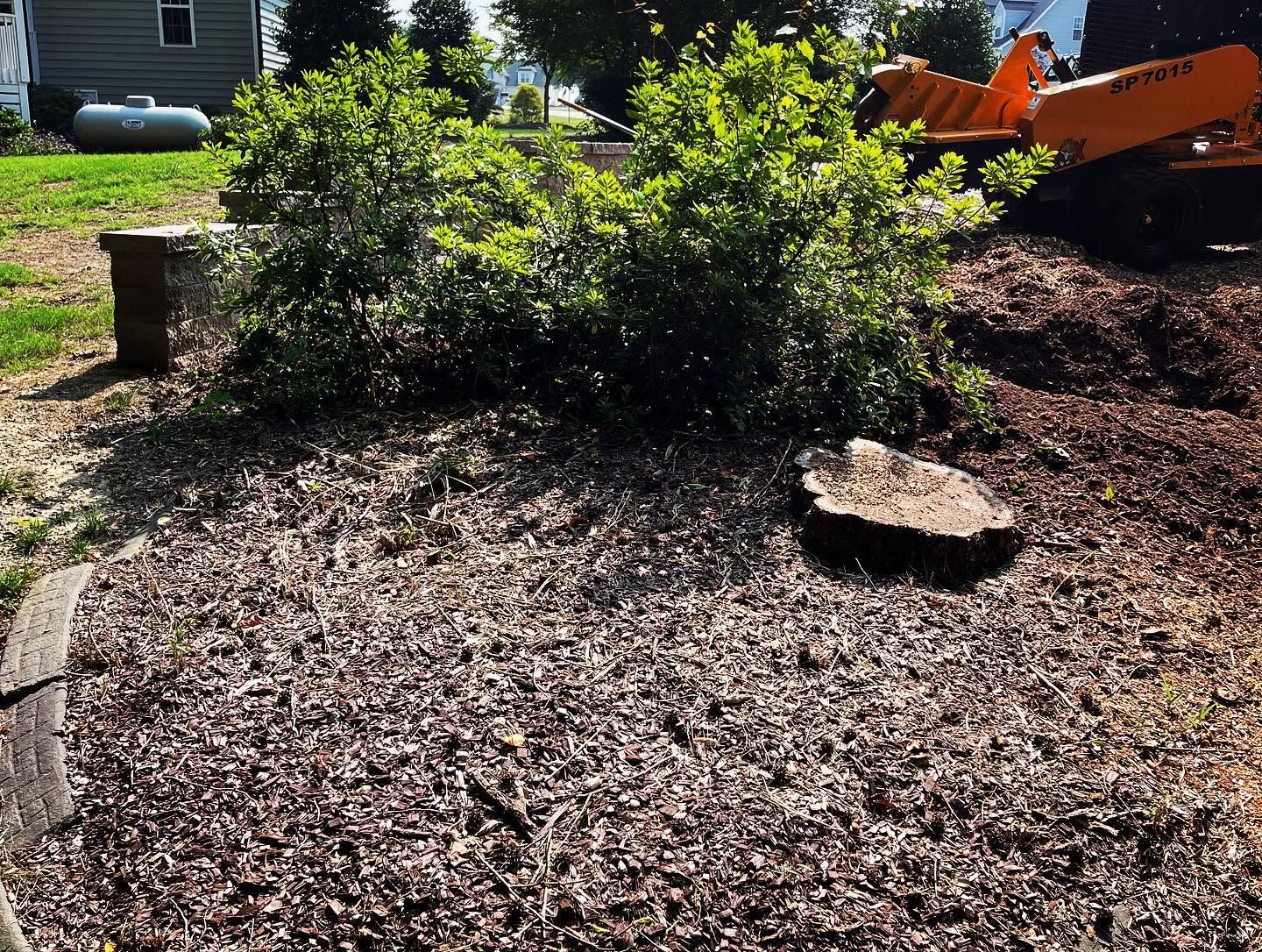Fresh mulch bed with shrubs, a stone slab, and an orange excavator in a yard
