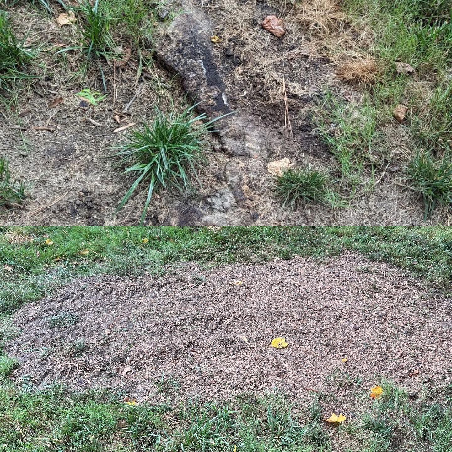 Gravel mound on a grassy dirt slope with small yellow flowers and a rocky hillside behind it