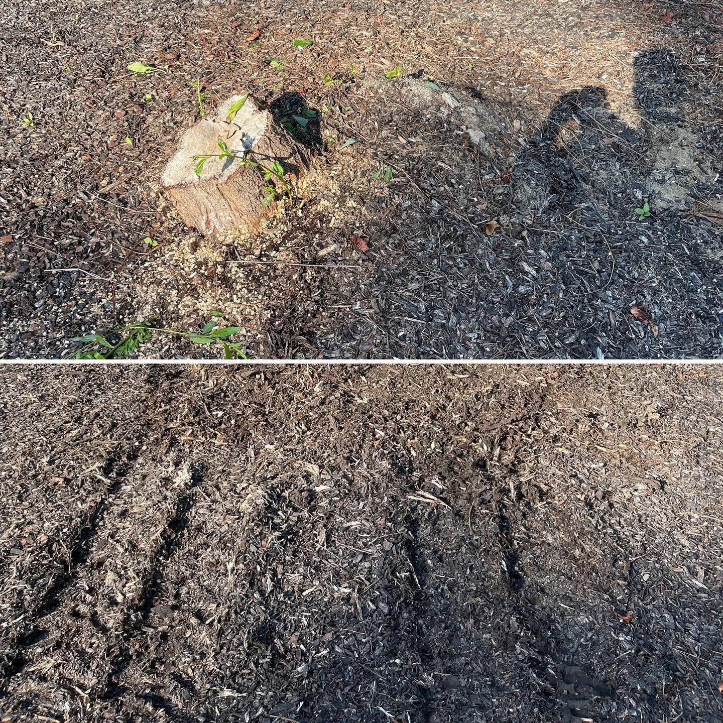 Split view of a gravel path with a small rock and shadow in the top half, and tire tracks in the bottom half