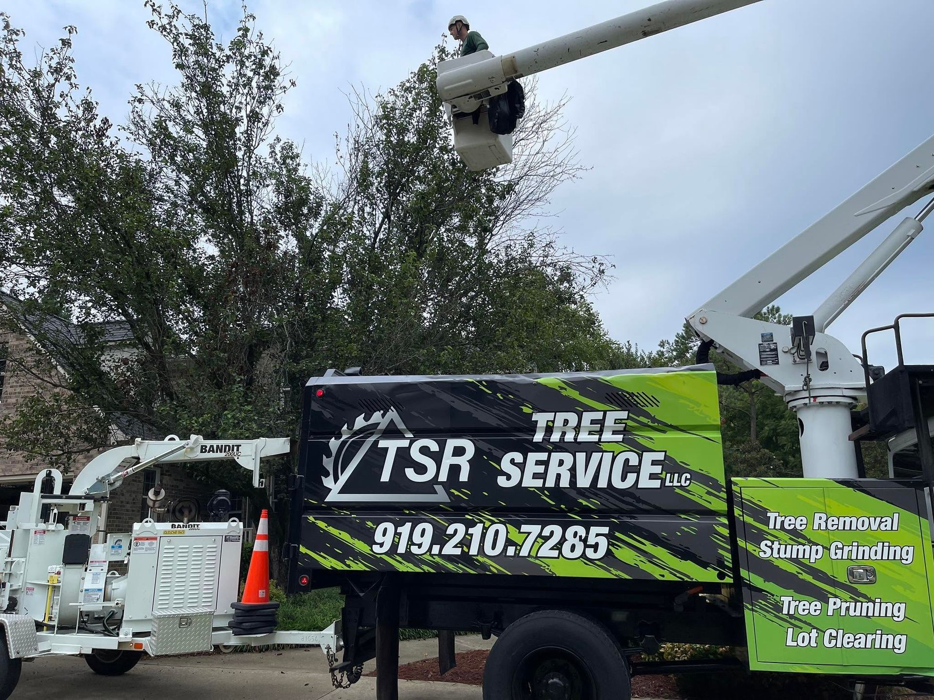 Tree service truck and bucket lift with “TSR Tree Service” sign near a large tree.