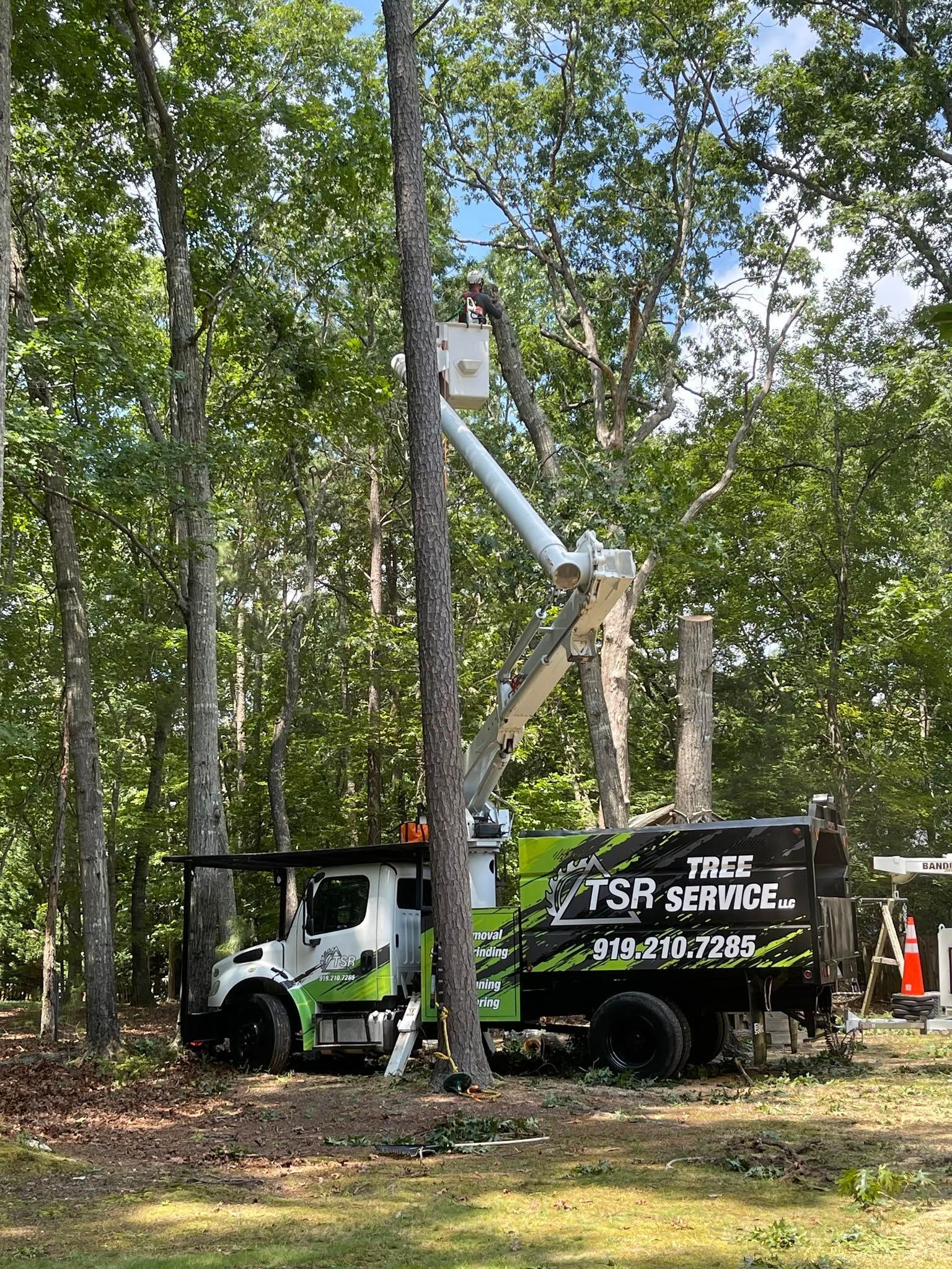 Utility truck with bucket lift trimming trees in a wooded area