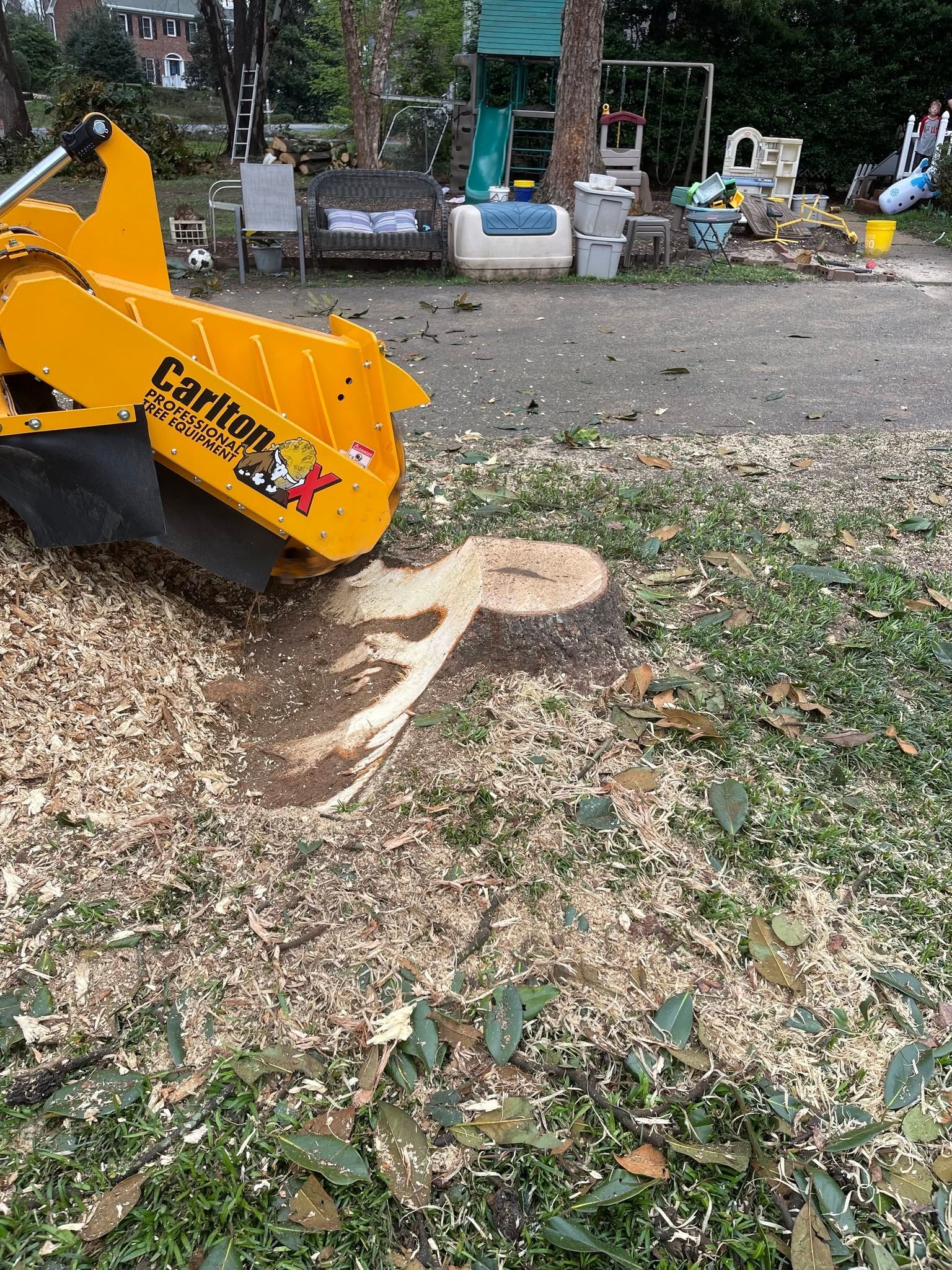 Yellow stump grinder cutting a tree stump in a leaf-covered yard, with equipment and tools in the background