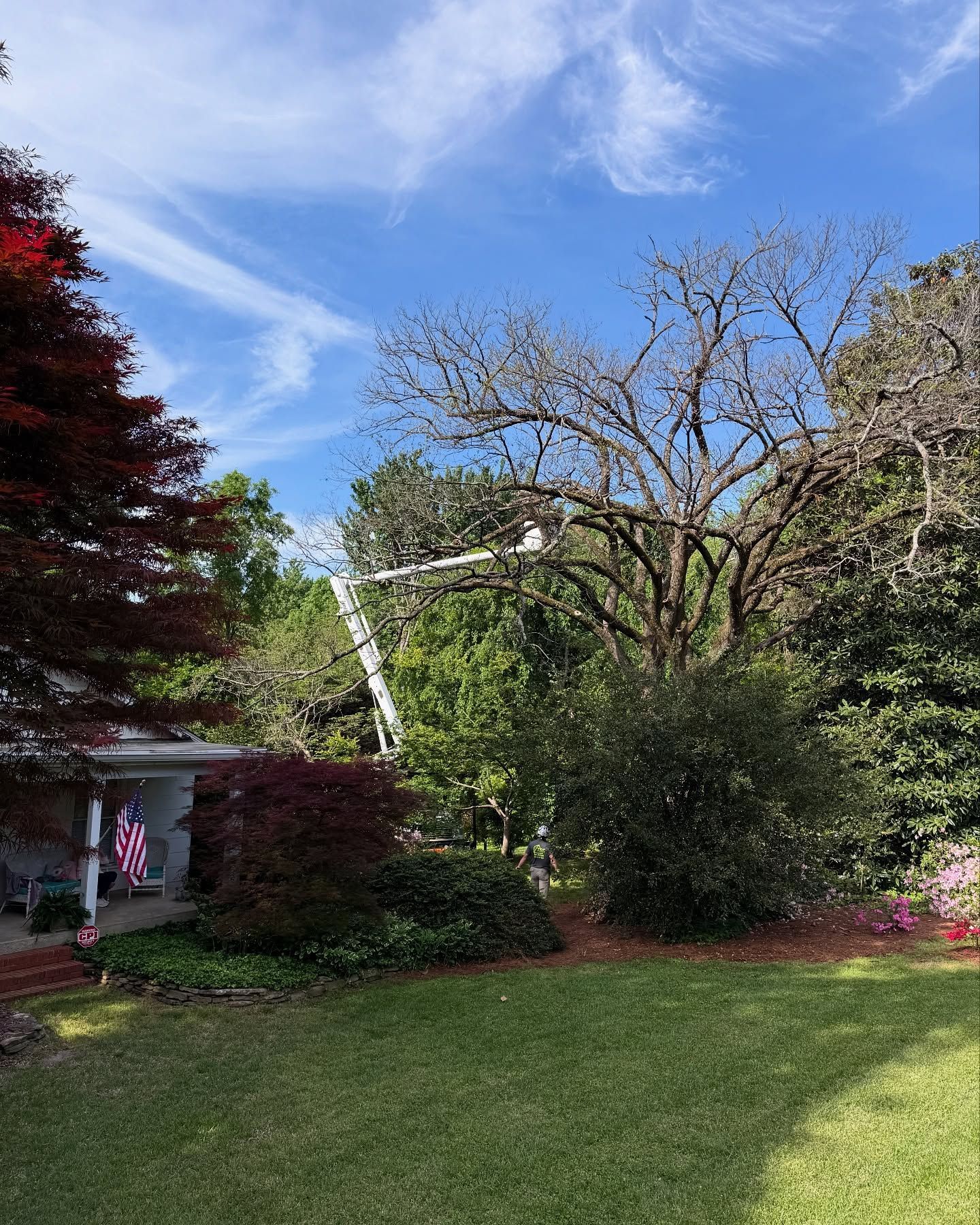 Backyard with green lawn, trees, and a white crane or boom against a blue sky