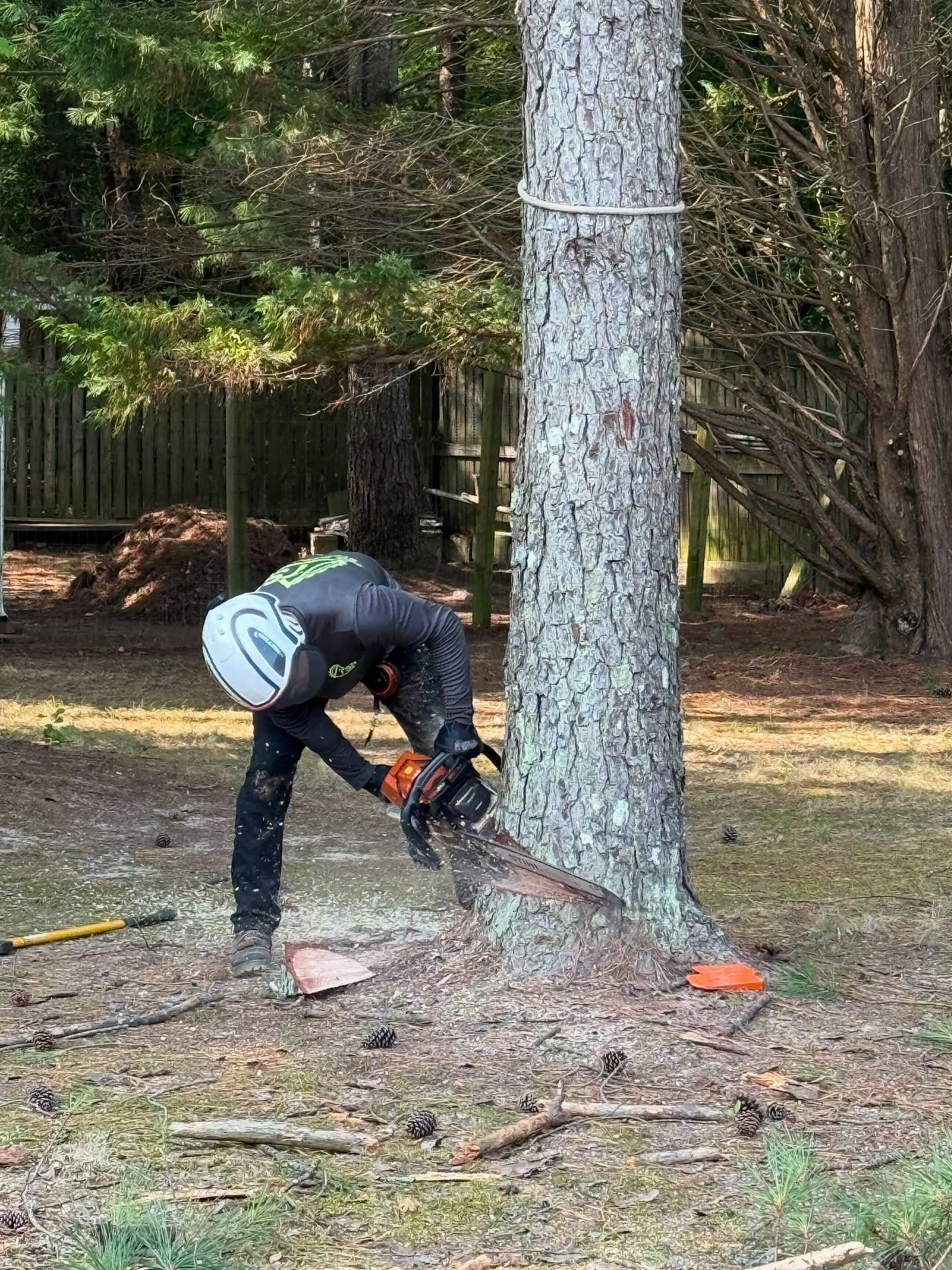 Worker using a chainsaw to cut a tree trunk in a wooded yard