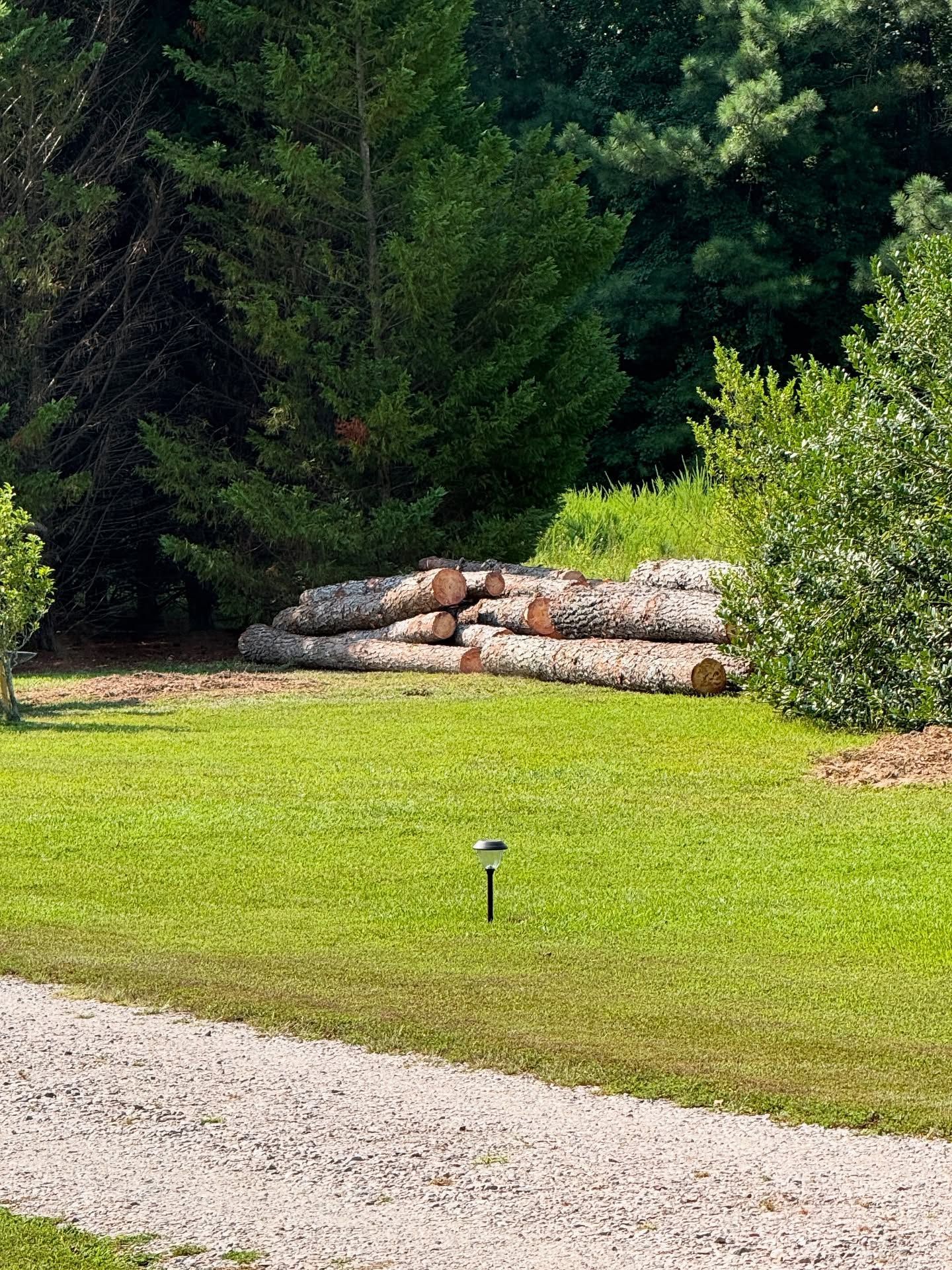 Grassy yard with stacked logs near trees, a gravel path in front, and a small garden light.