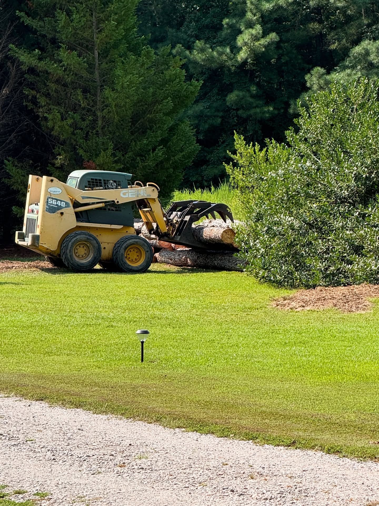 Yellow skid-steer loading brush near a wooded yard edge beside a gravel drive