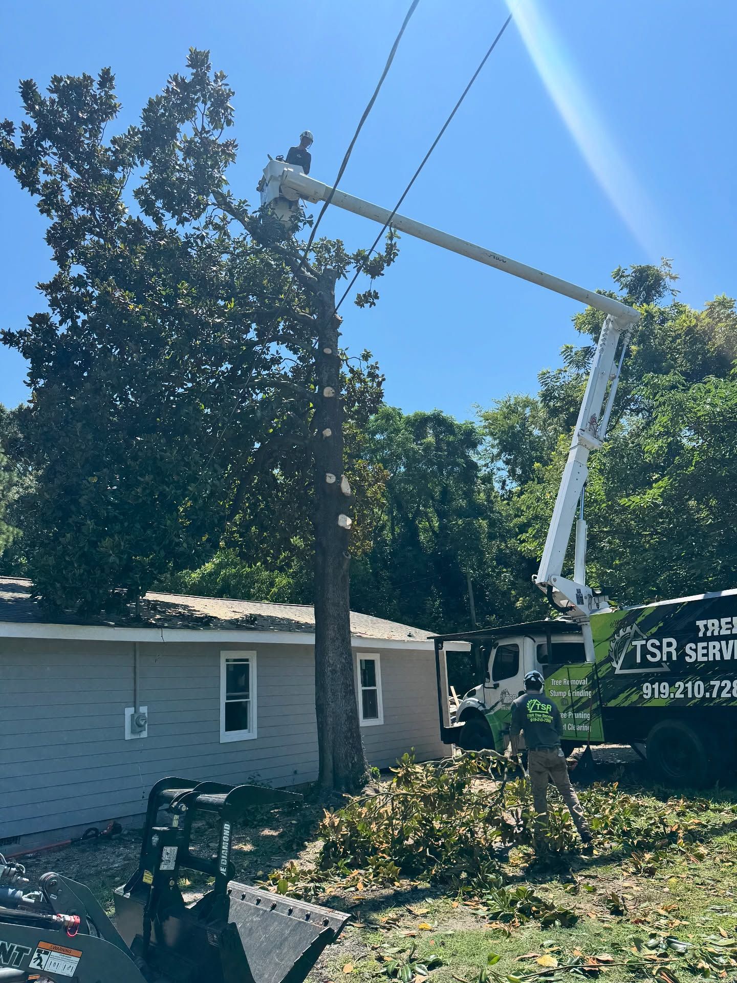 Bucket truck trimming tree branches beside a small house on a sunny day