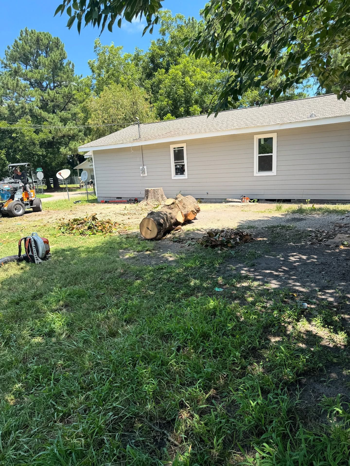 Backyard with a gray house, fallen tree stump, and lawn equipment in bright sunlight