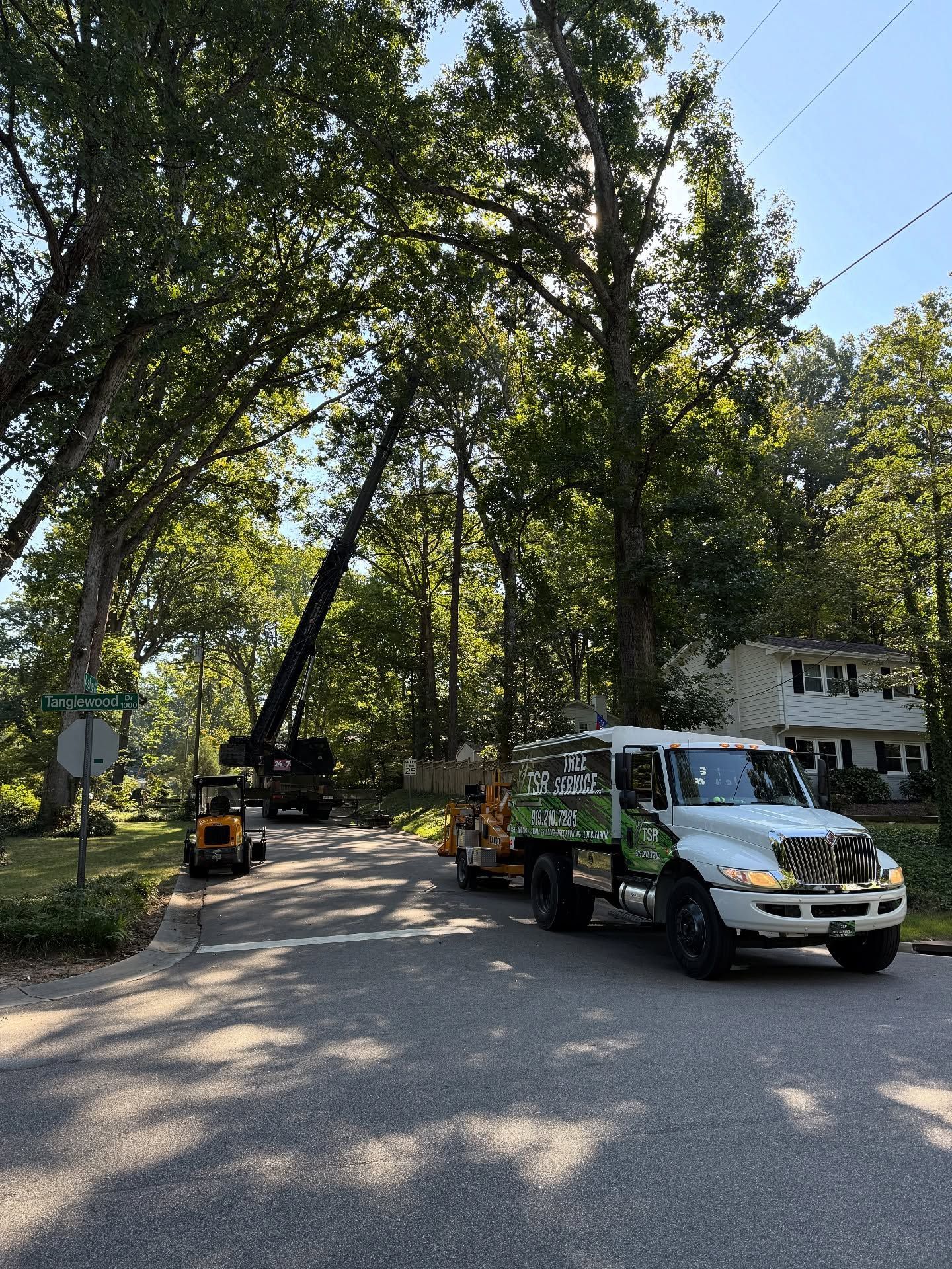 Tree-trimming truck and crane working along a leafy residential street near a house.