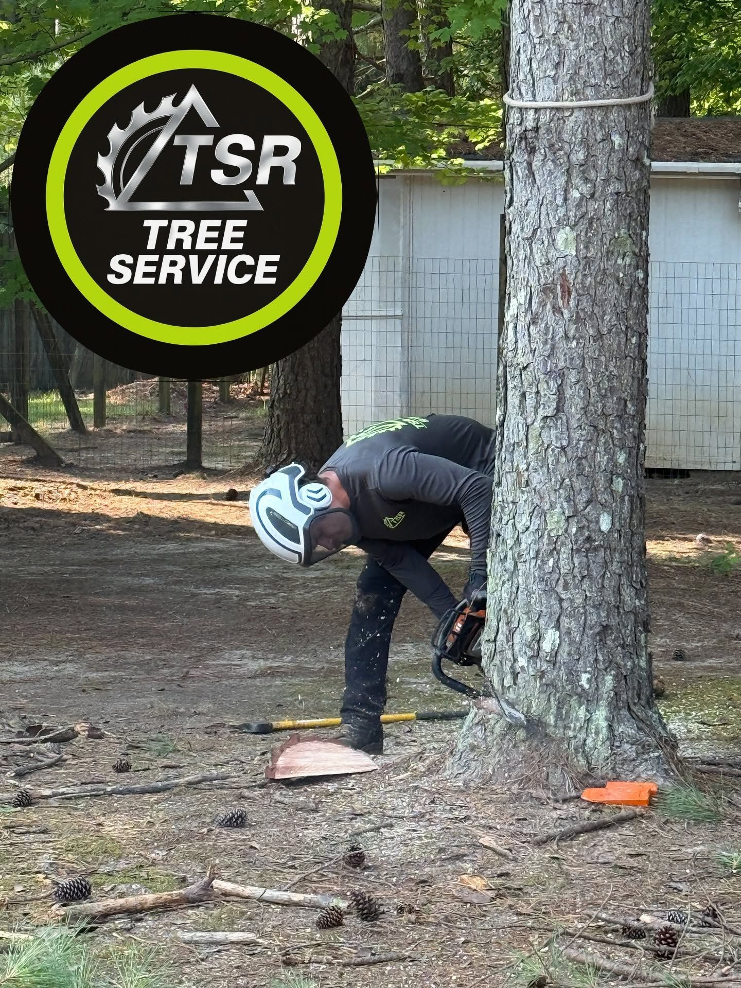 Tree service worker in black gear cutting a tree trunk beside a TSR Tree Service sign.