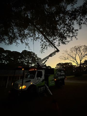 Utility truck with raised bucket lift trimming tree branches at dusk on a roadside
