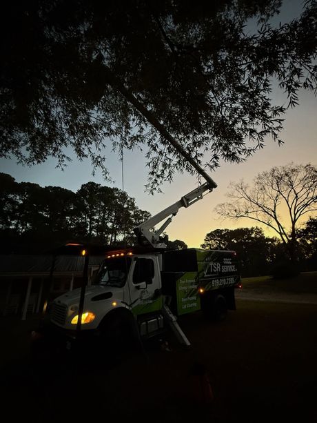 Utility truck with raised bucket lift trimming tree branches at dusk on a roadside