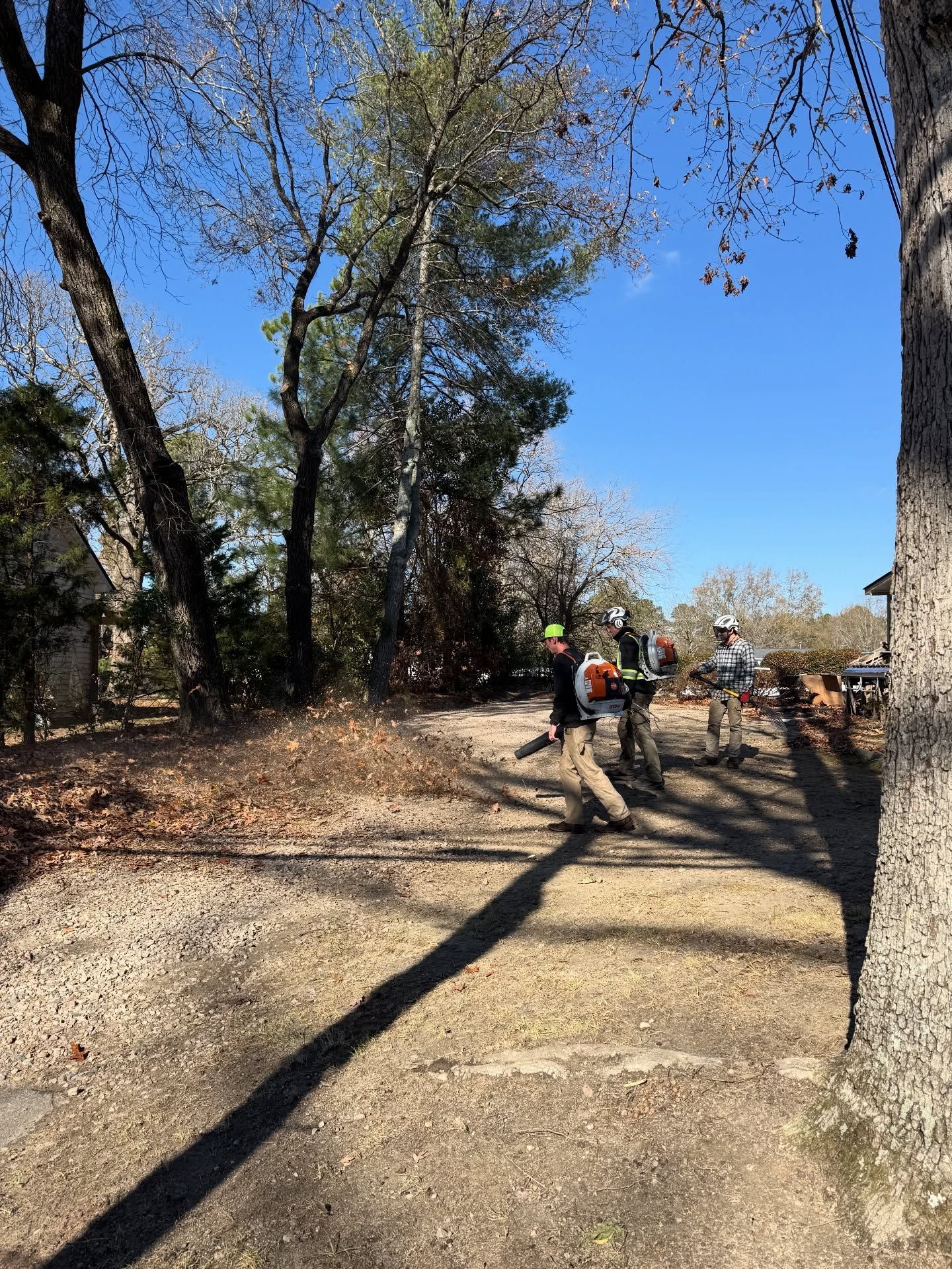 Hikers on a sunlit wooded trail with dry leaves and tall trees under a clear blue sky