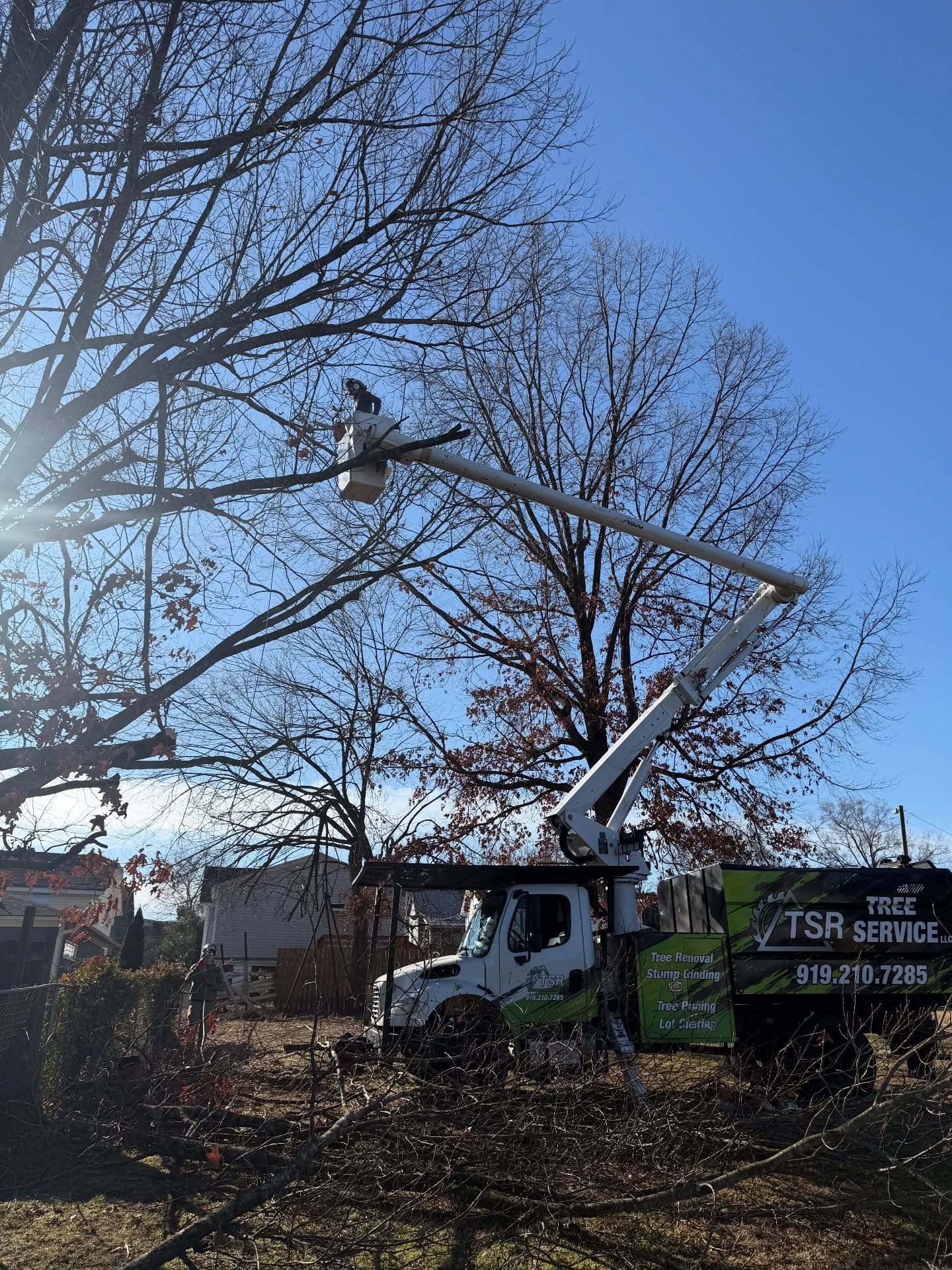 Tree service worker in a white bucket truck trimming bare branches on a sunny day